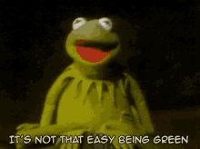 IMG_0790.gif