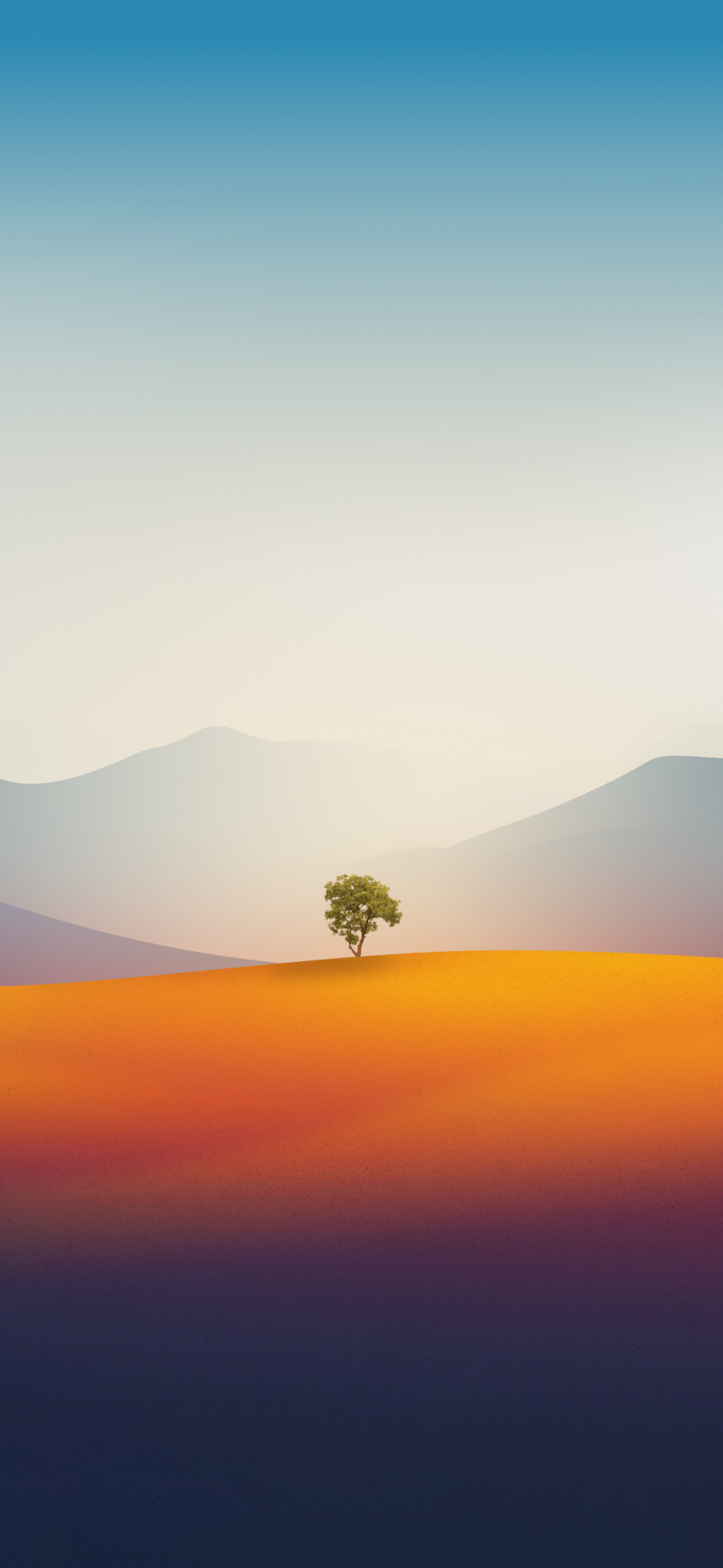 IMG_0875.png