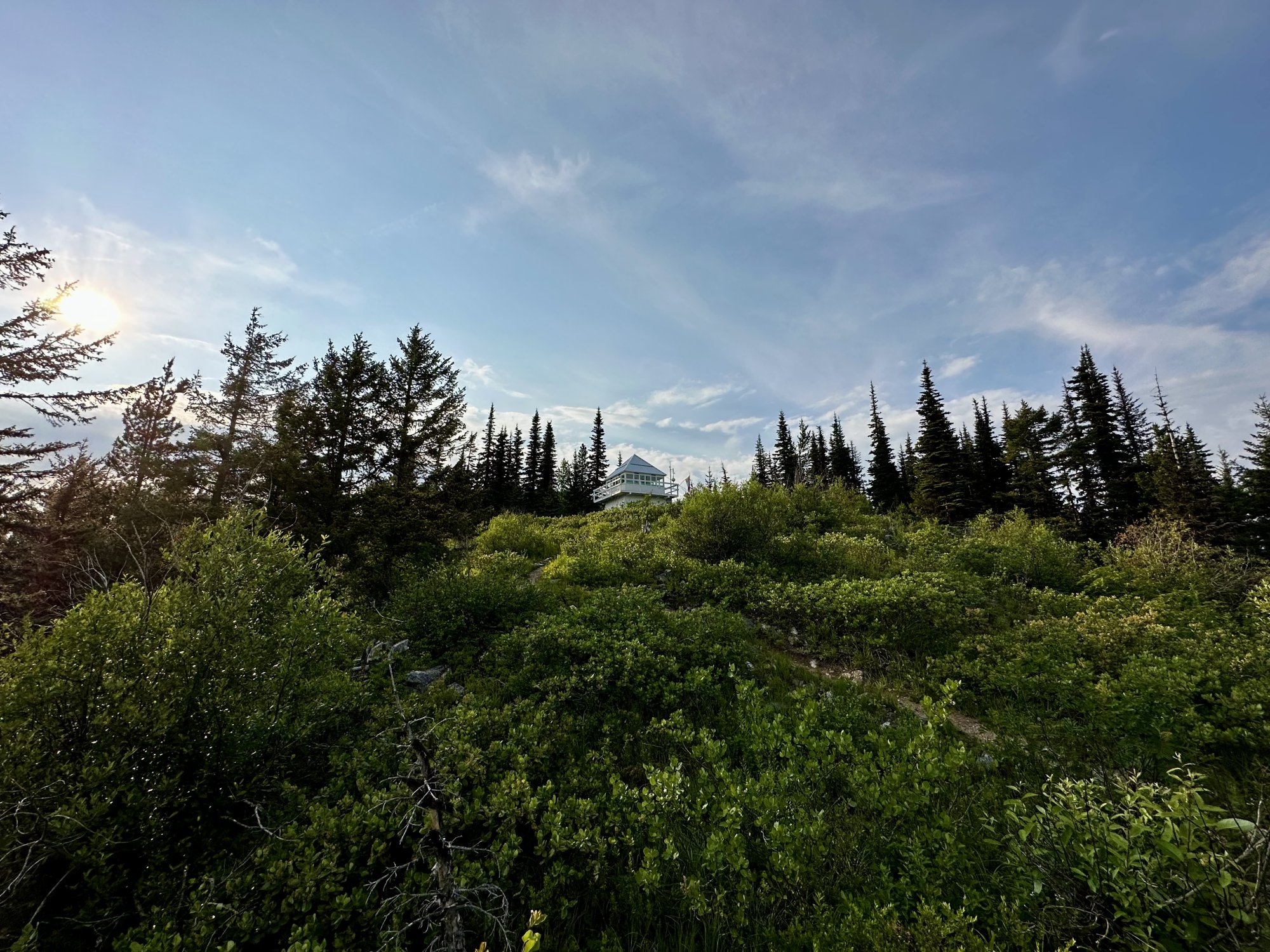 IMG_0991.jpeg
