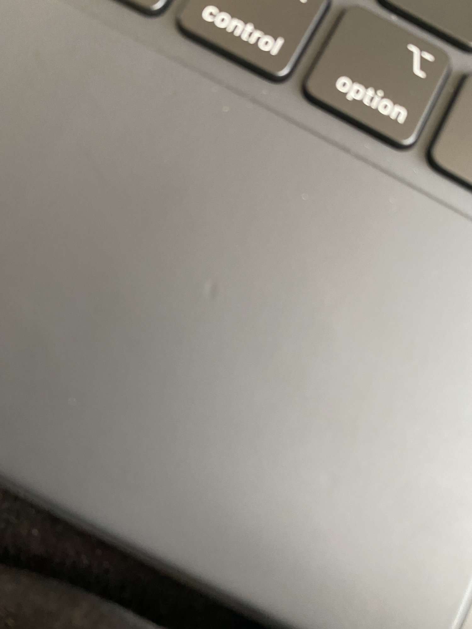 IMG_1423.jpeg