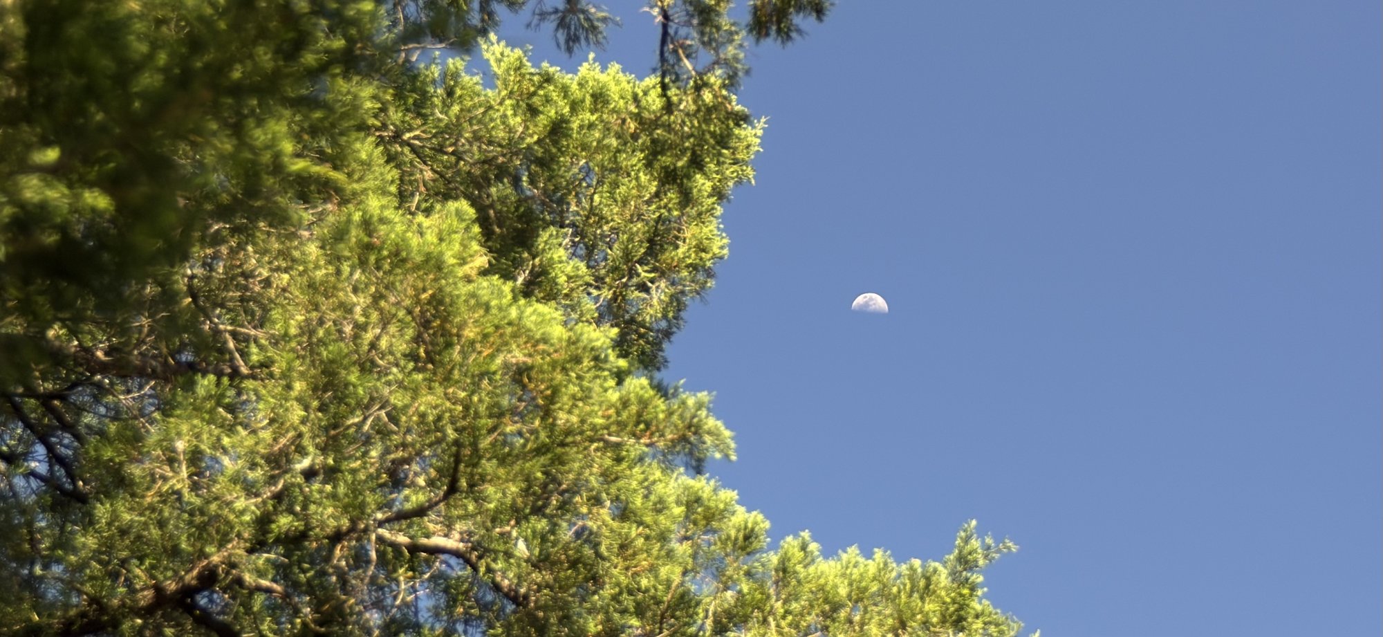 IMG_1447.jpeg