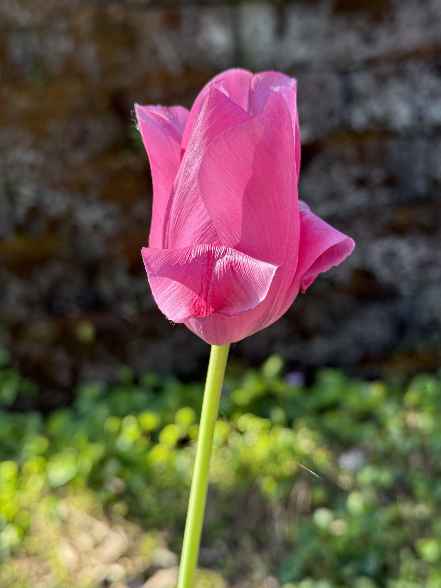 IMG_1494.jpeg
