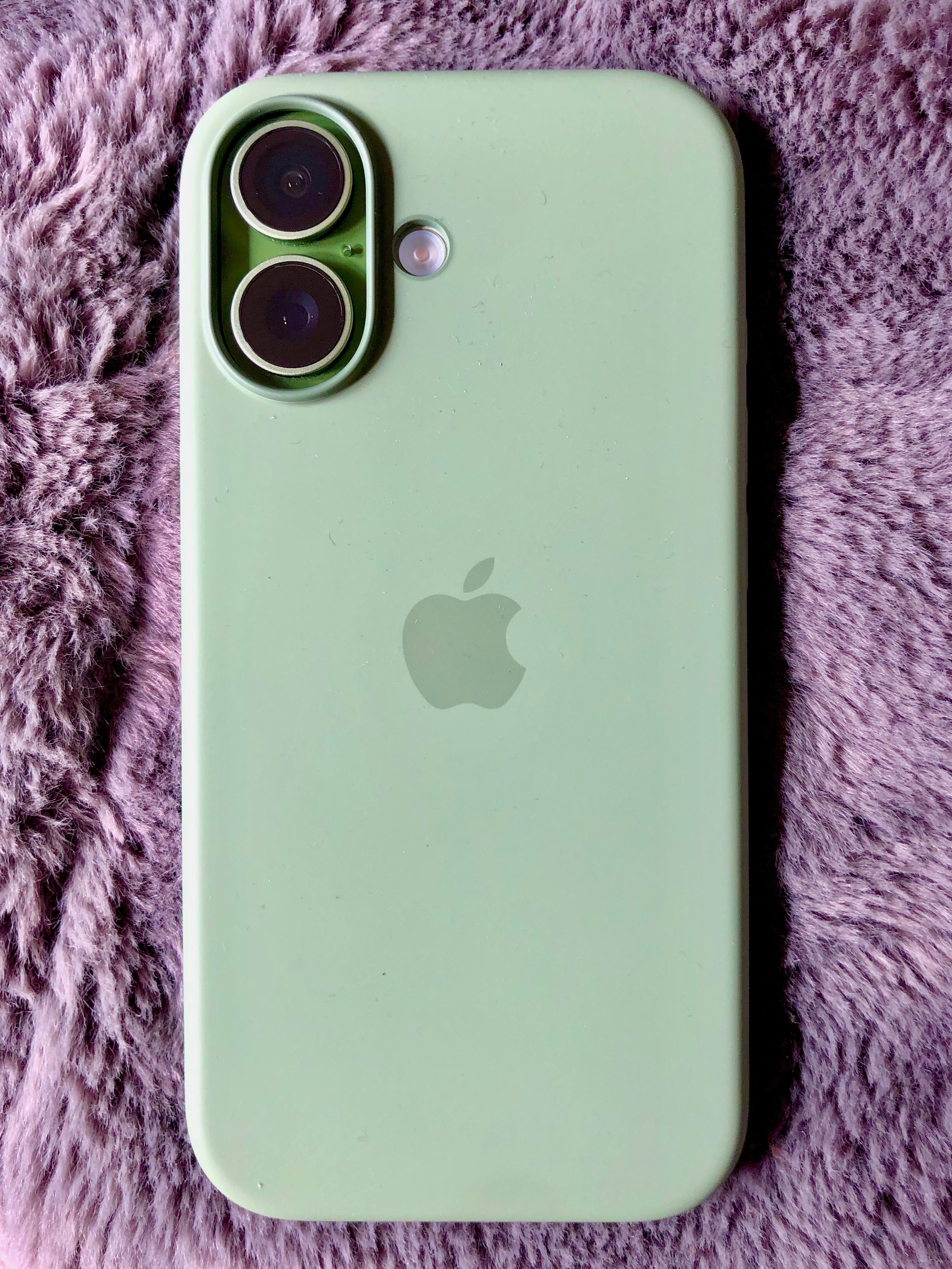 IMG_1654.jpeg