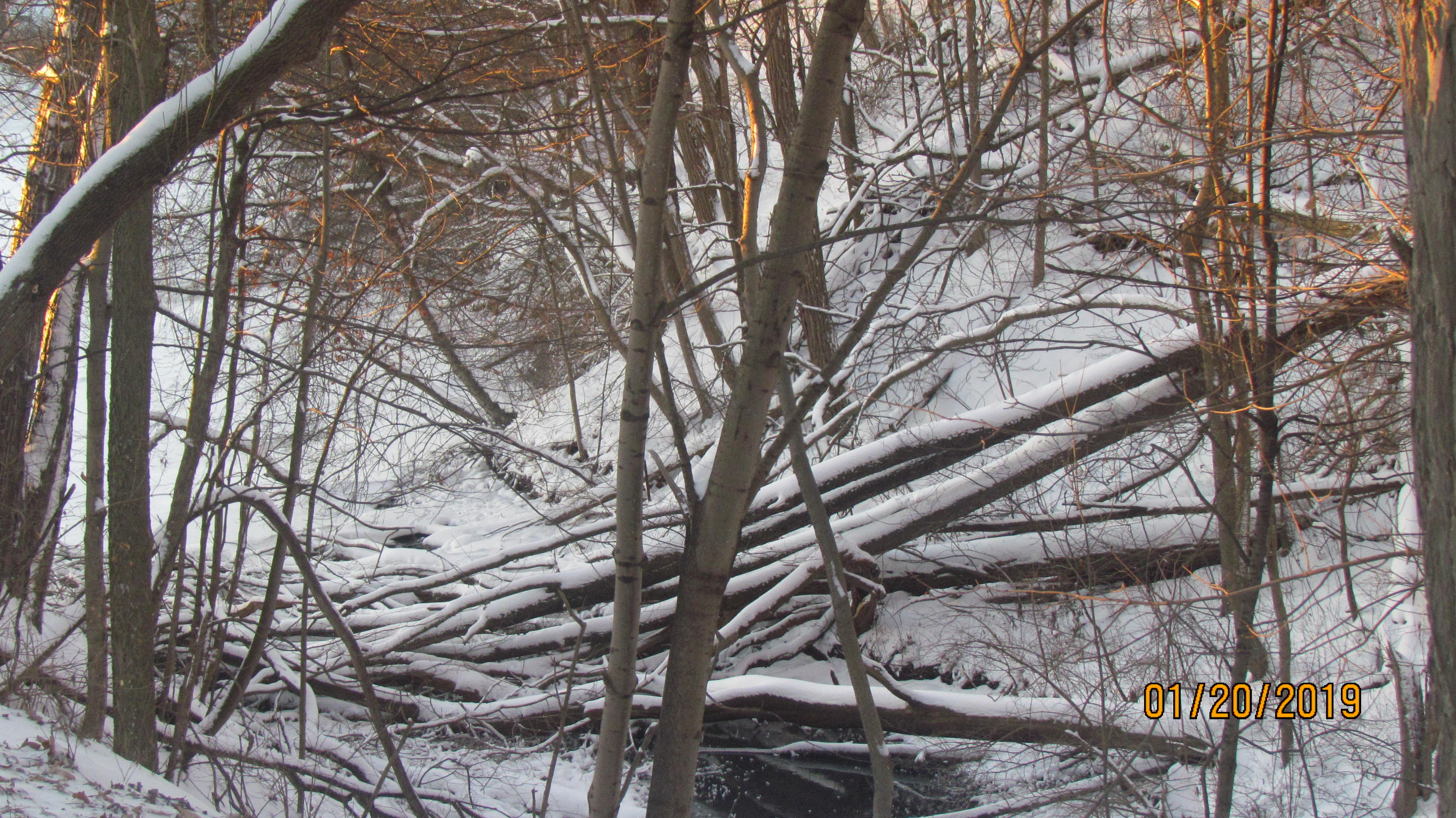 IMG_1729.jpg IMG_1729.jpg