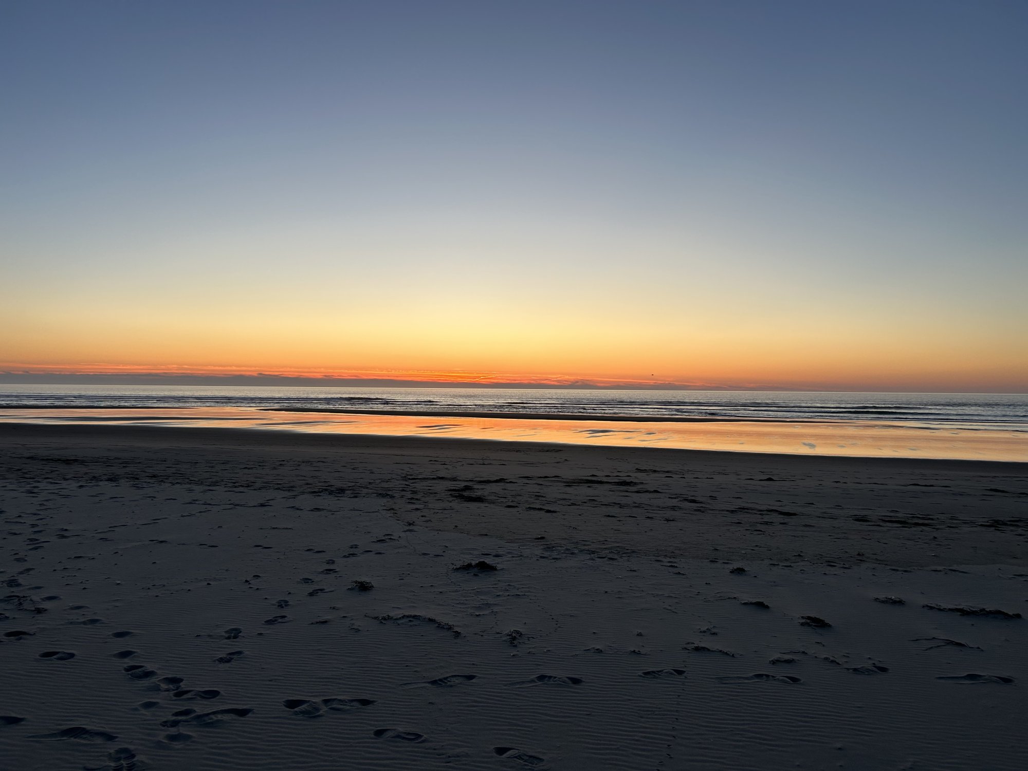 IMG_1872.jpeg