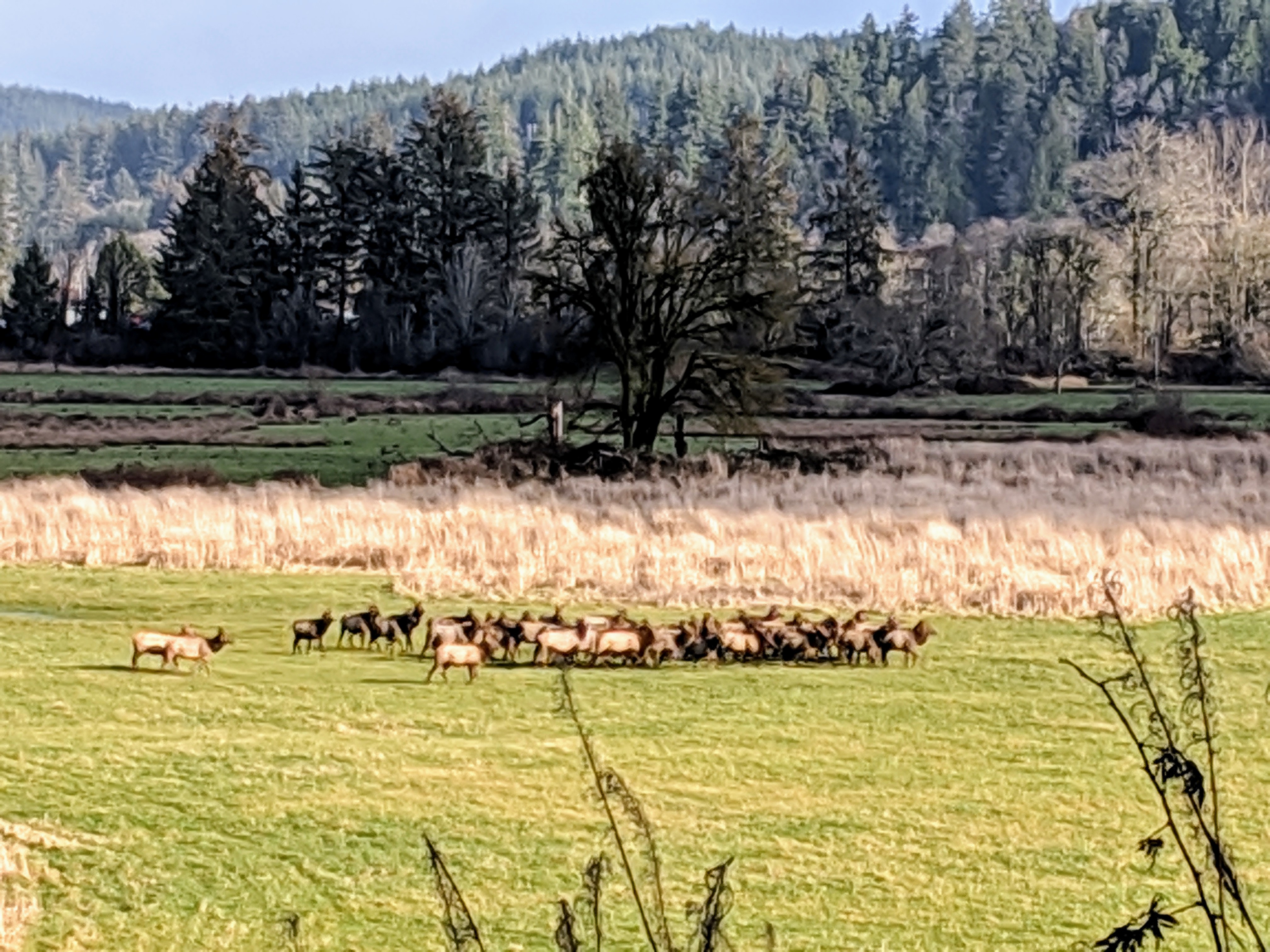 IMG_20181223_130325.jpg