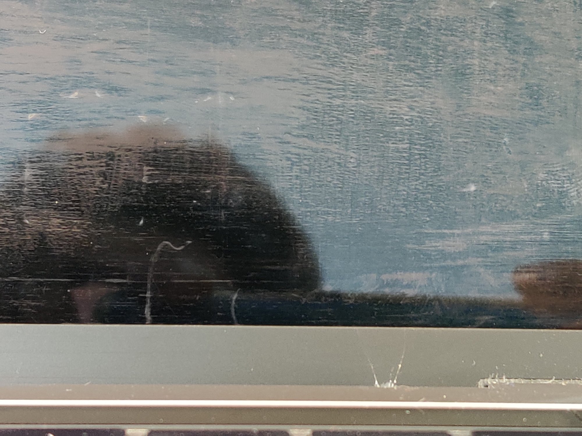 IMG_20200801_140202.jpg IMG_20200801_140202.jpg