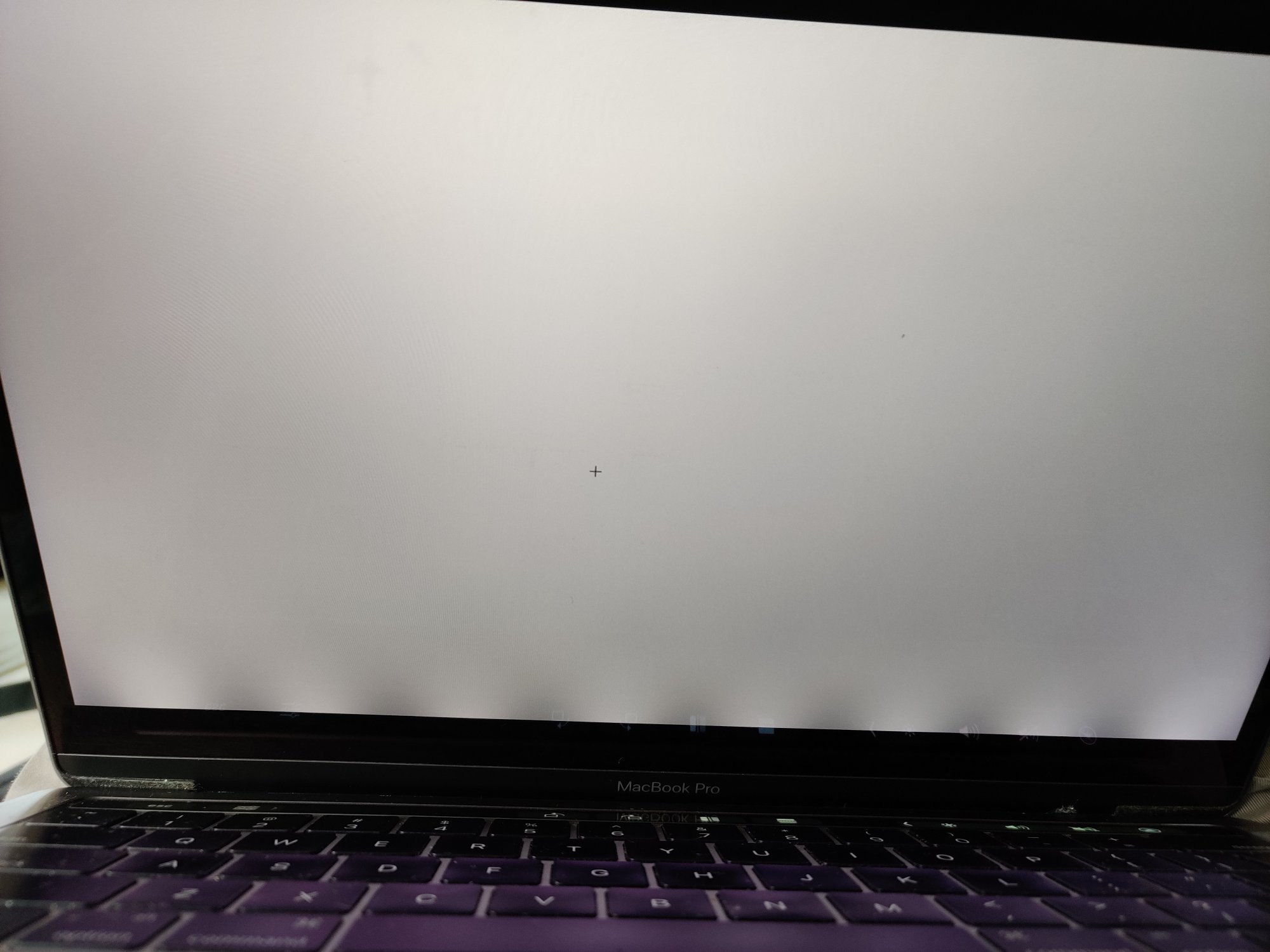 IMG_20200801_141957.jpg IMG_20200801_141957.jpg