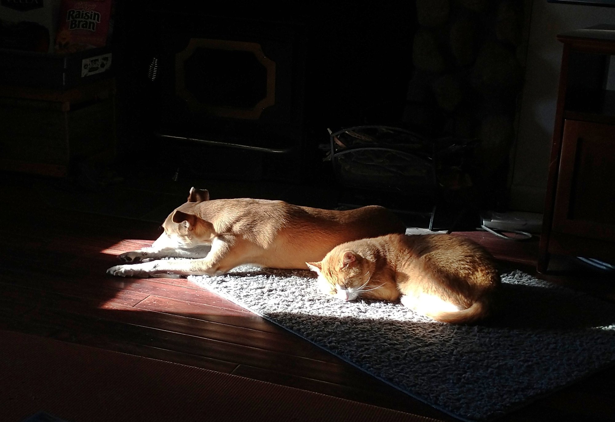 IMG_20251109_075610 cropx.jpg