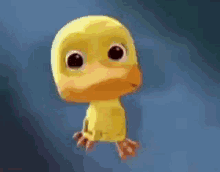 IMG_2175.gif