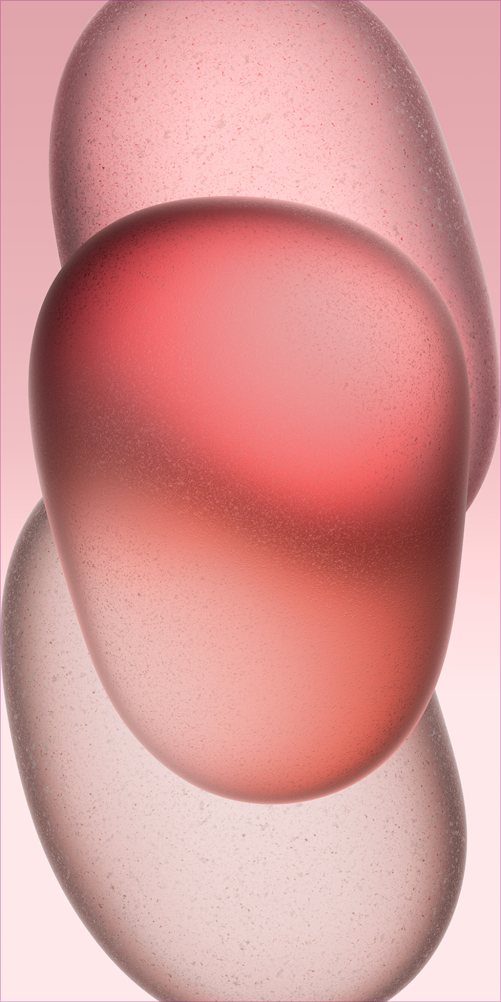 IMG_2288.png
