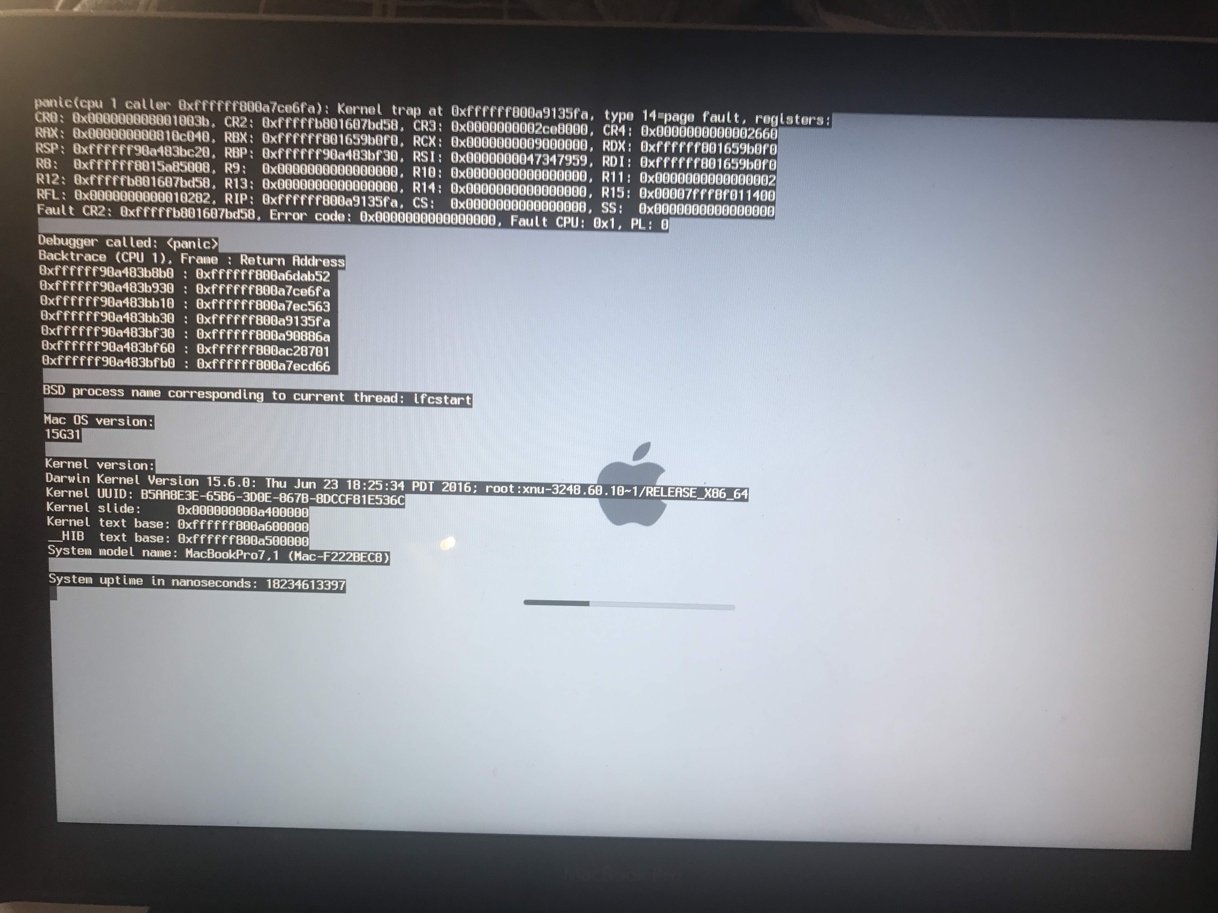 IMG_2995.JPG IMG_2995.JPG