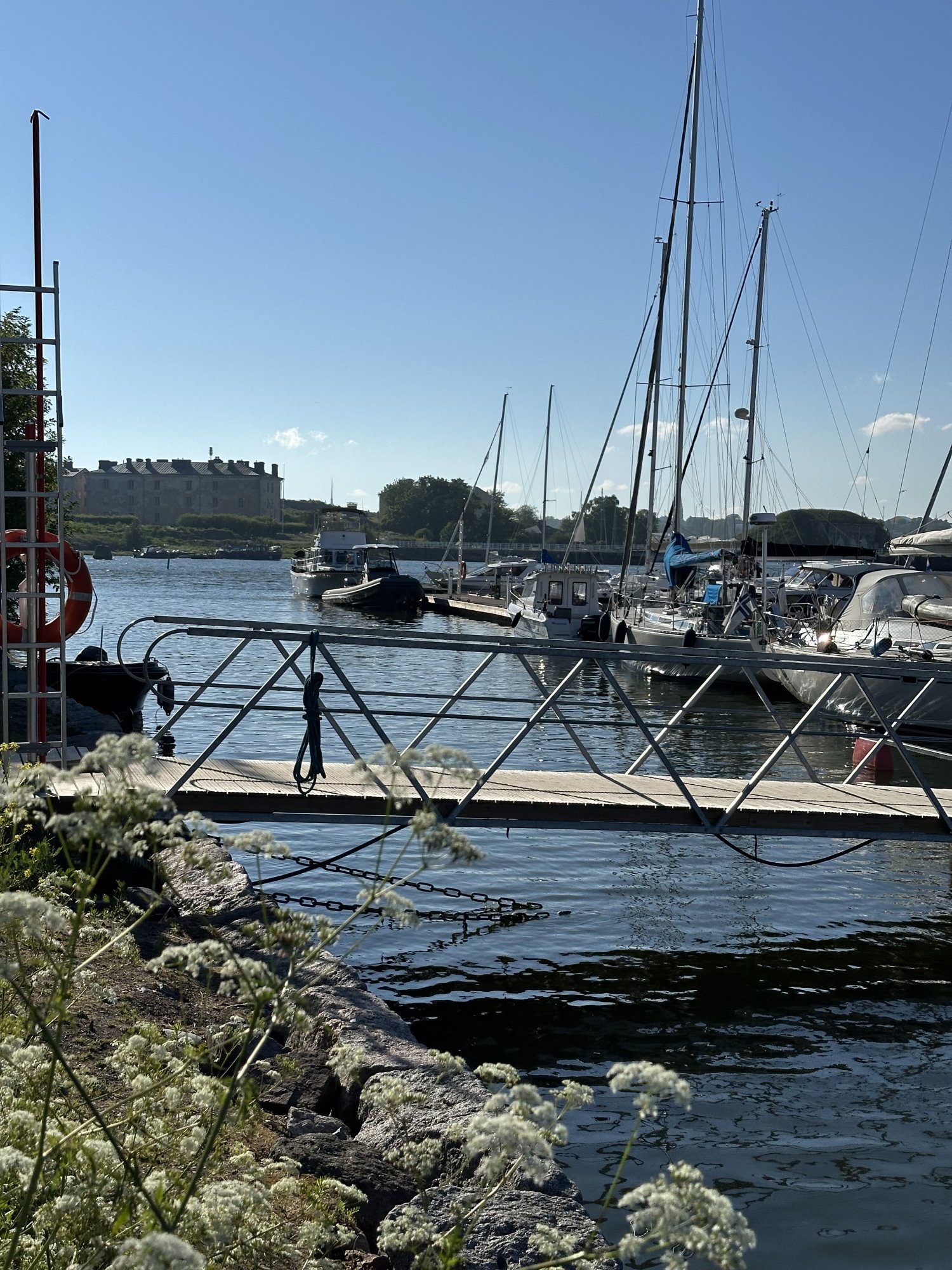 IMG_3215.jpeg