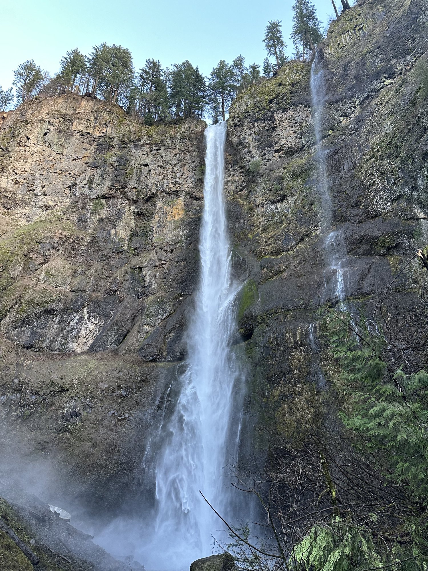 IMG_3230.jpeg