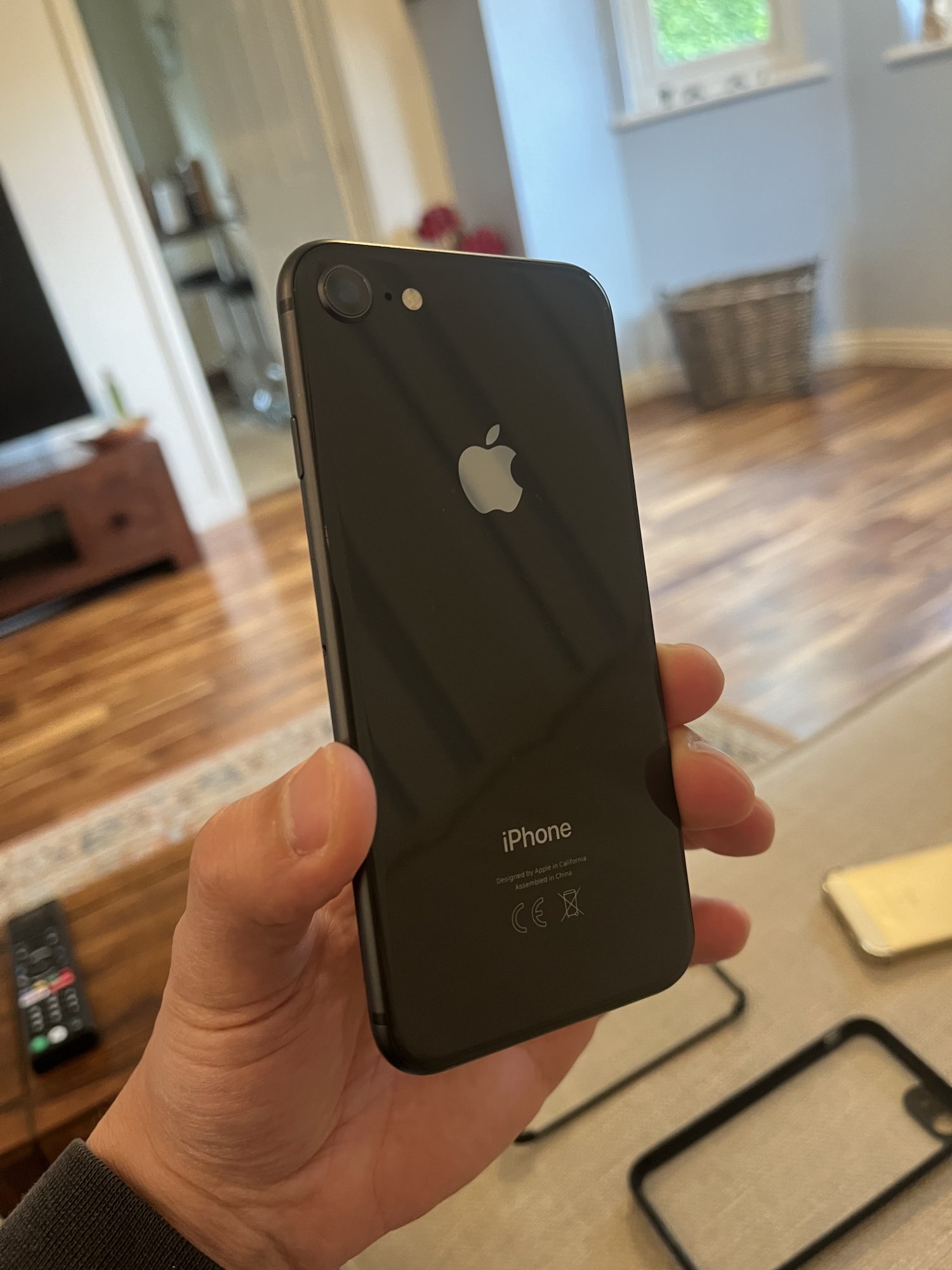 IMG_3681.jpeg