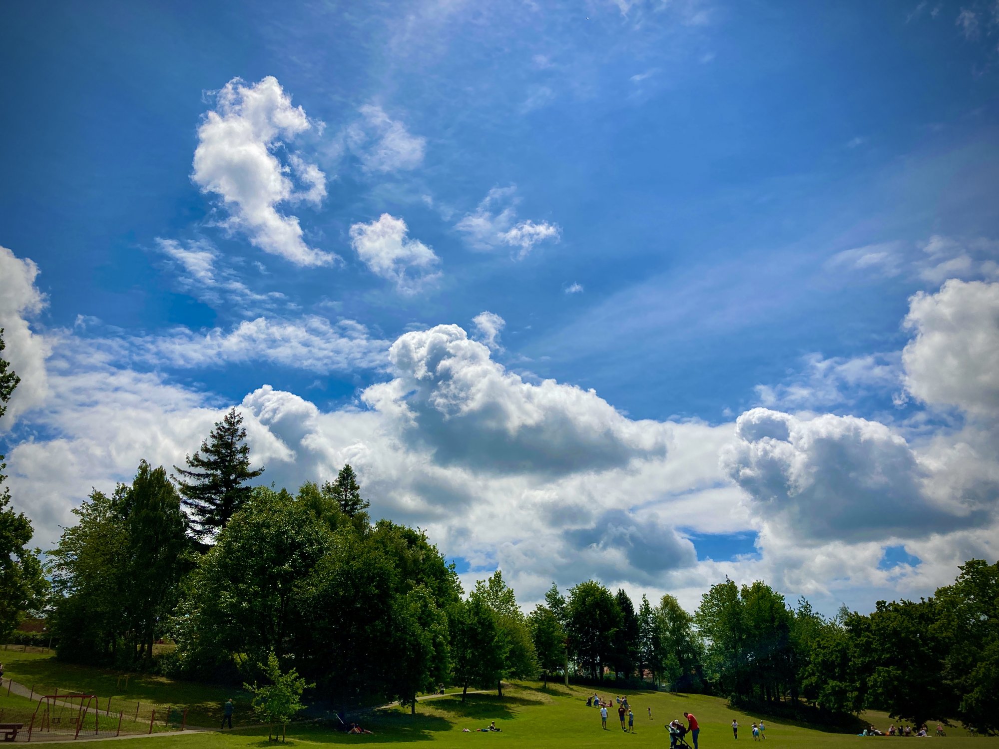 IMG_3985-edited.jpg