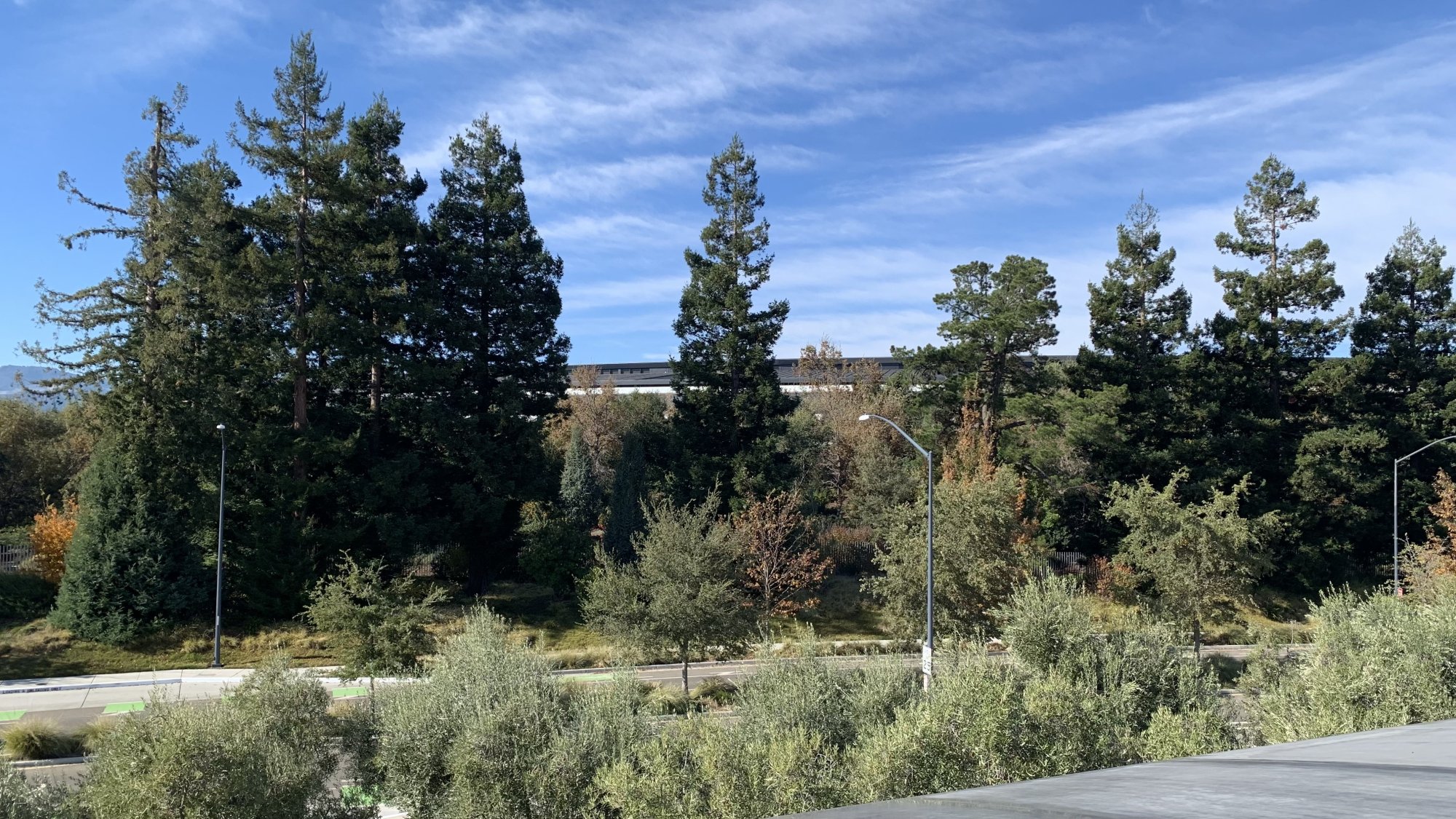 IMG_4331.jpeg
