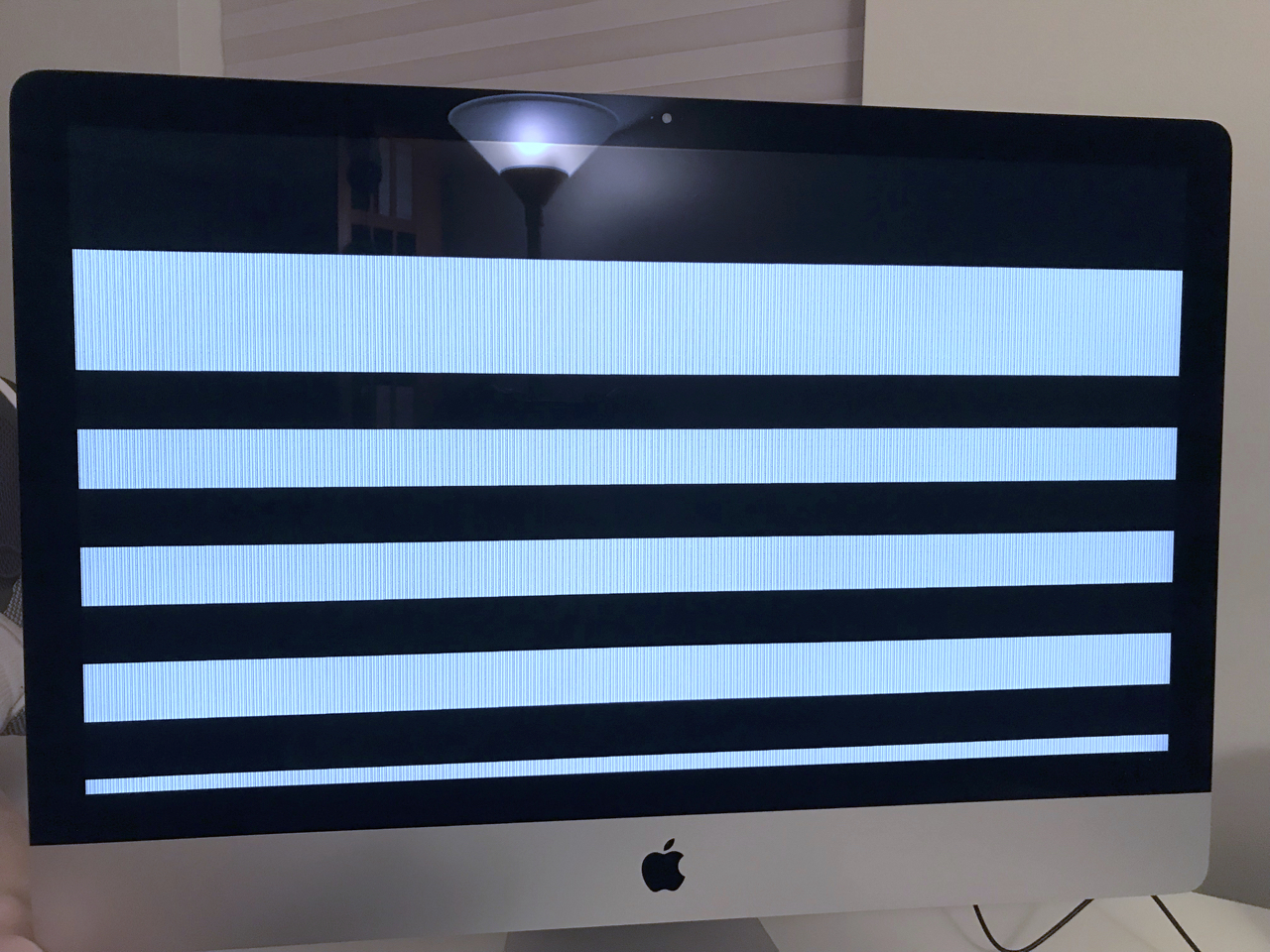 IMG_5563 -2.jpg IMG_5563 -2.jpg