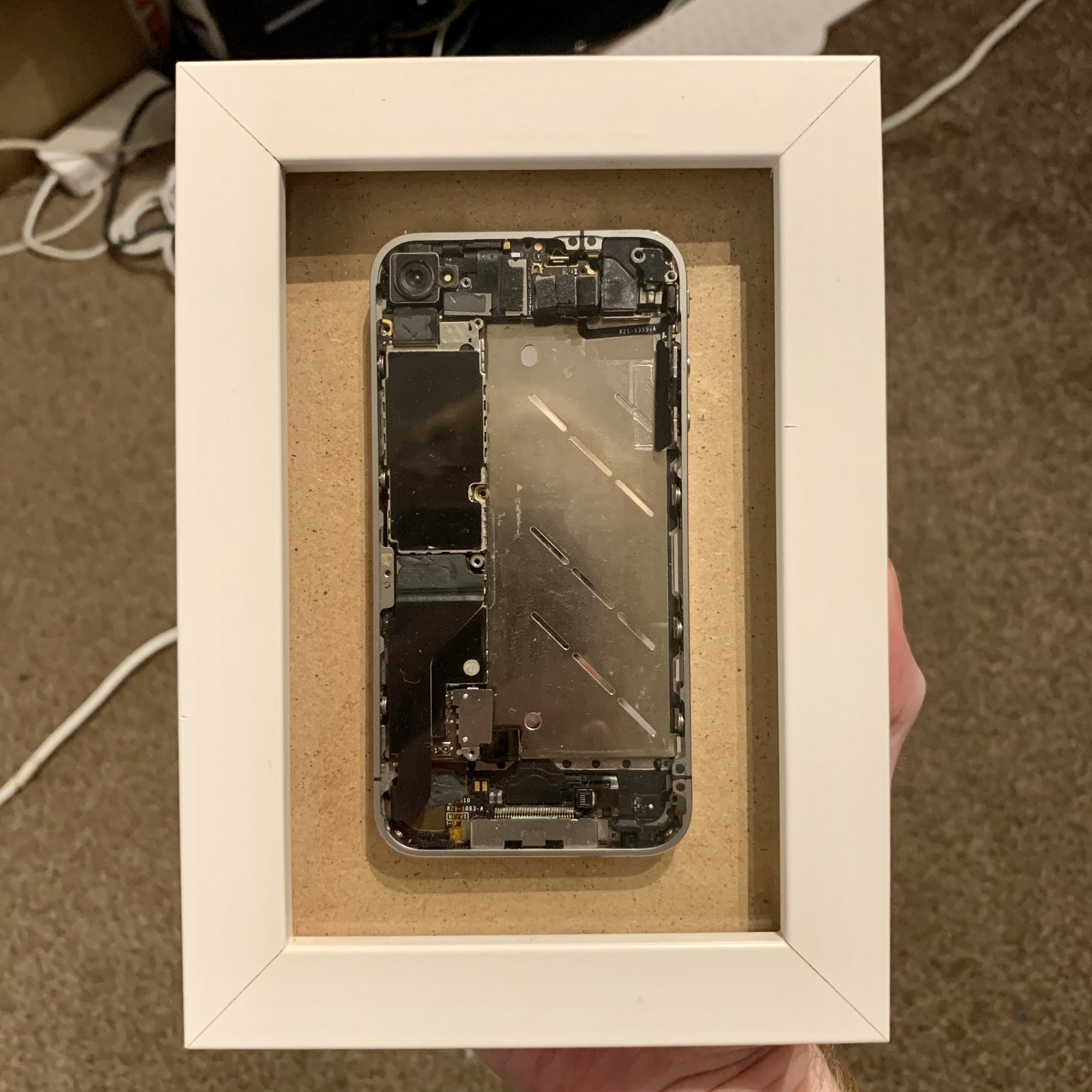 IMG_5870.JPG IMG_5870.JPG