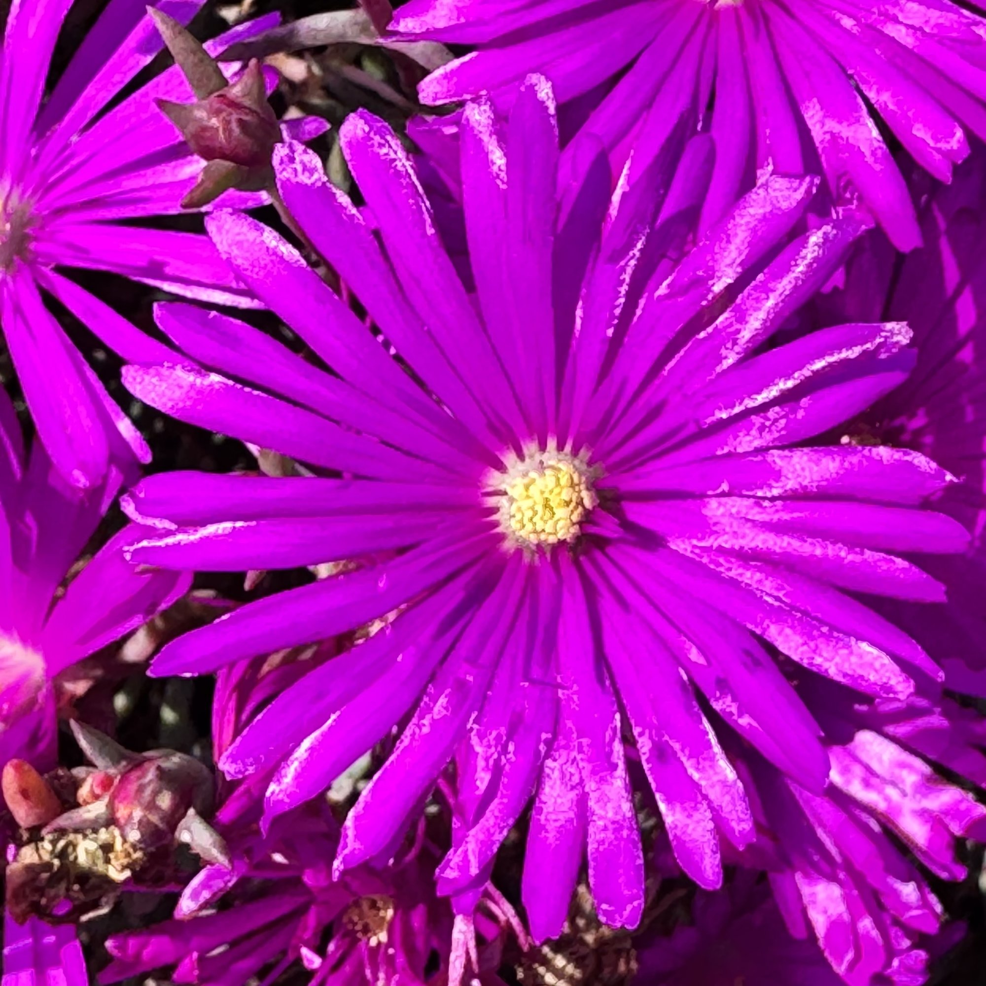 IMG_5978.jpeg