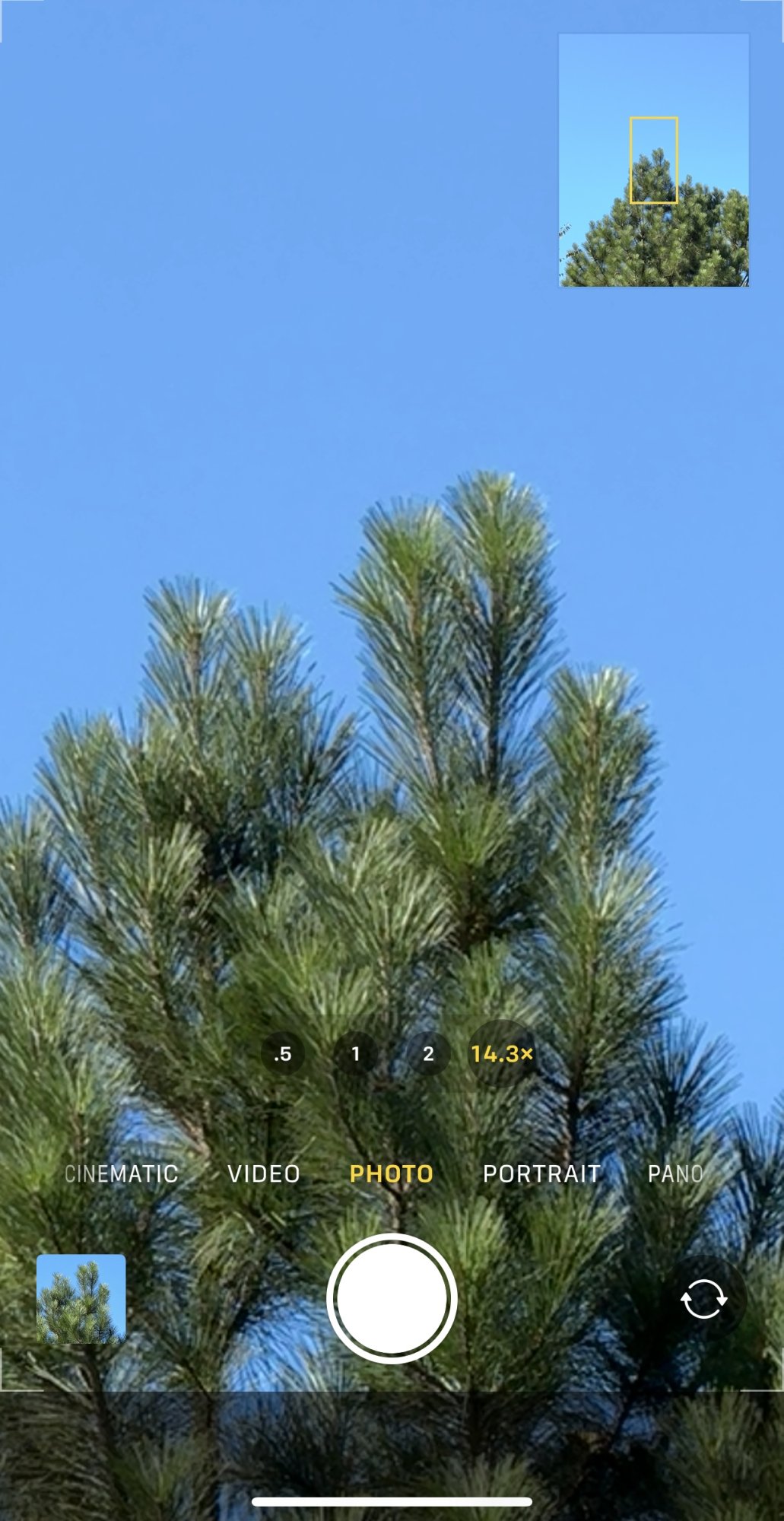 IMG_6012.jpeg