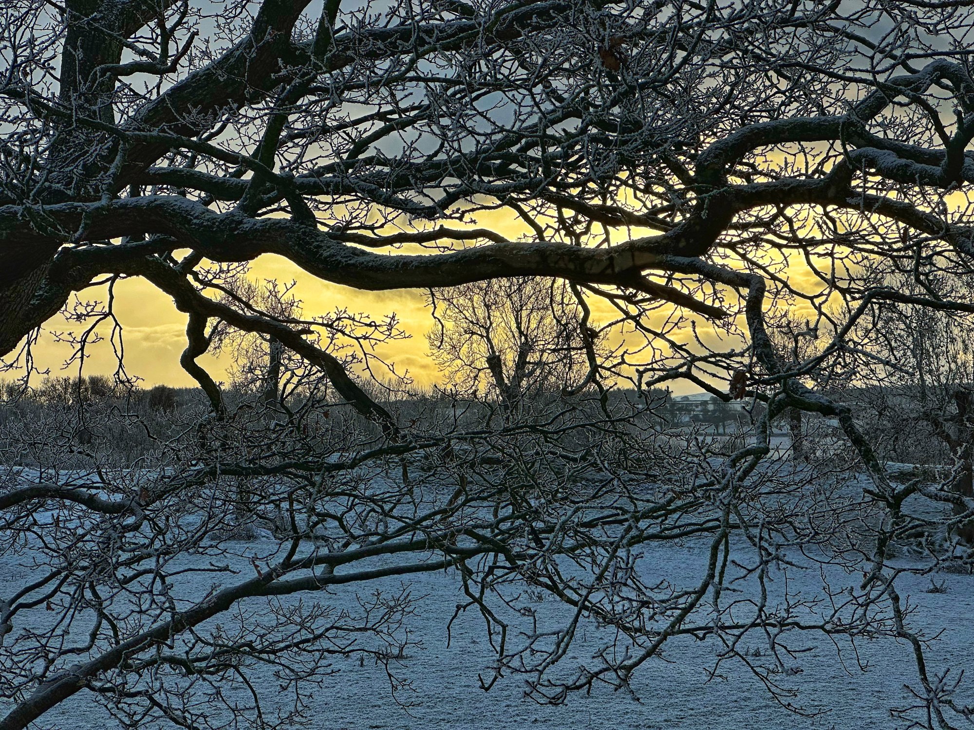 IMG_6232.jpeg