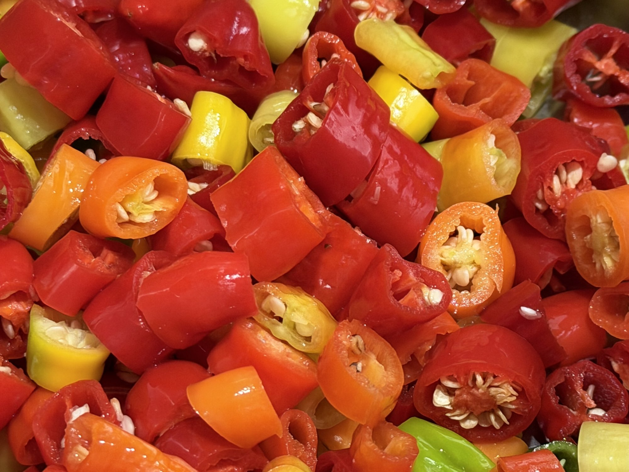 IMG_6730.jpeg IMG_6730.jpeg