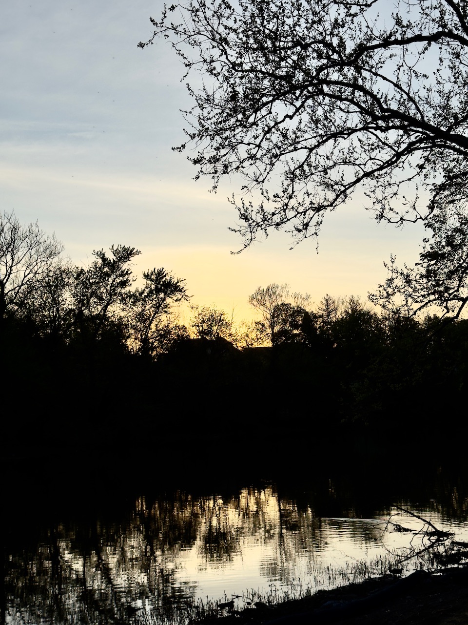 IMG_6766.jpeg