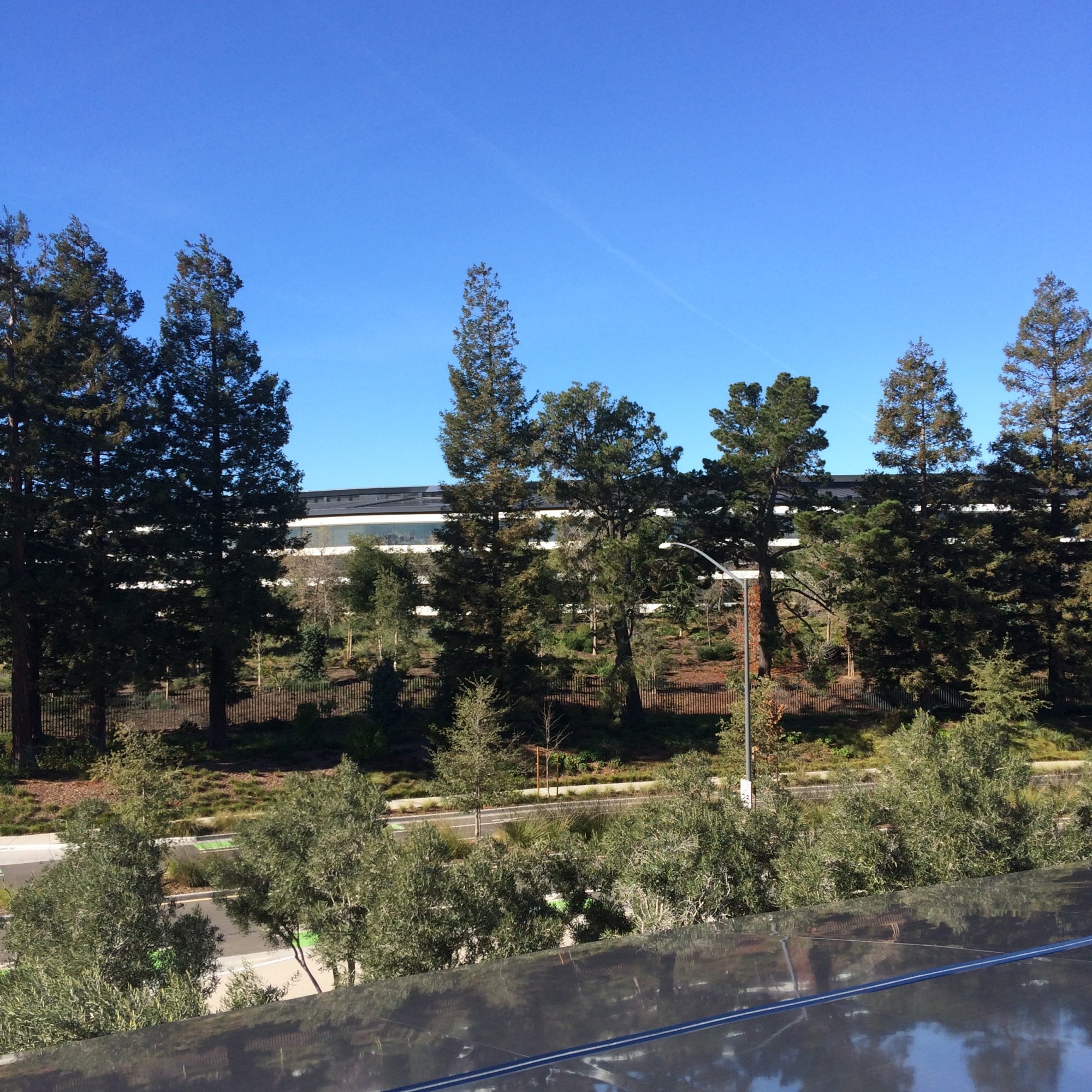 IMG_6846.jpeg