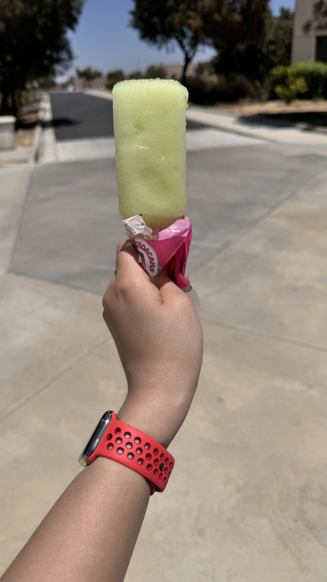IMG_6863.jpeg
