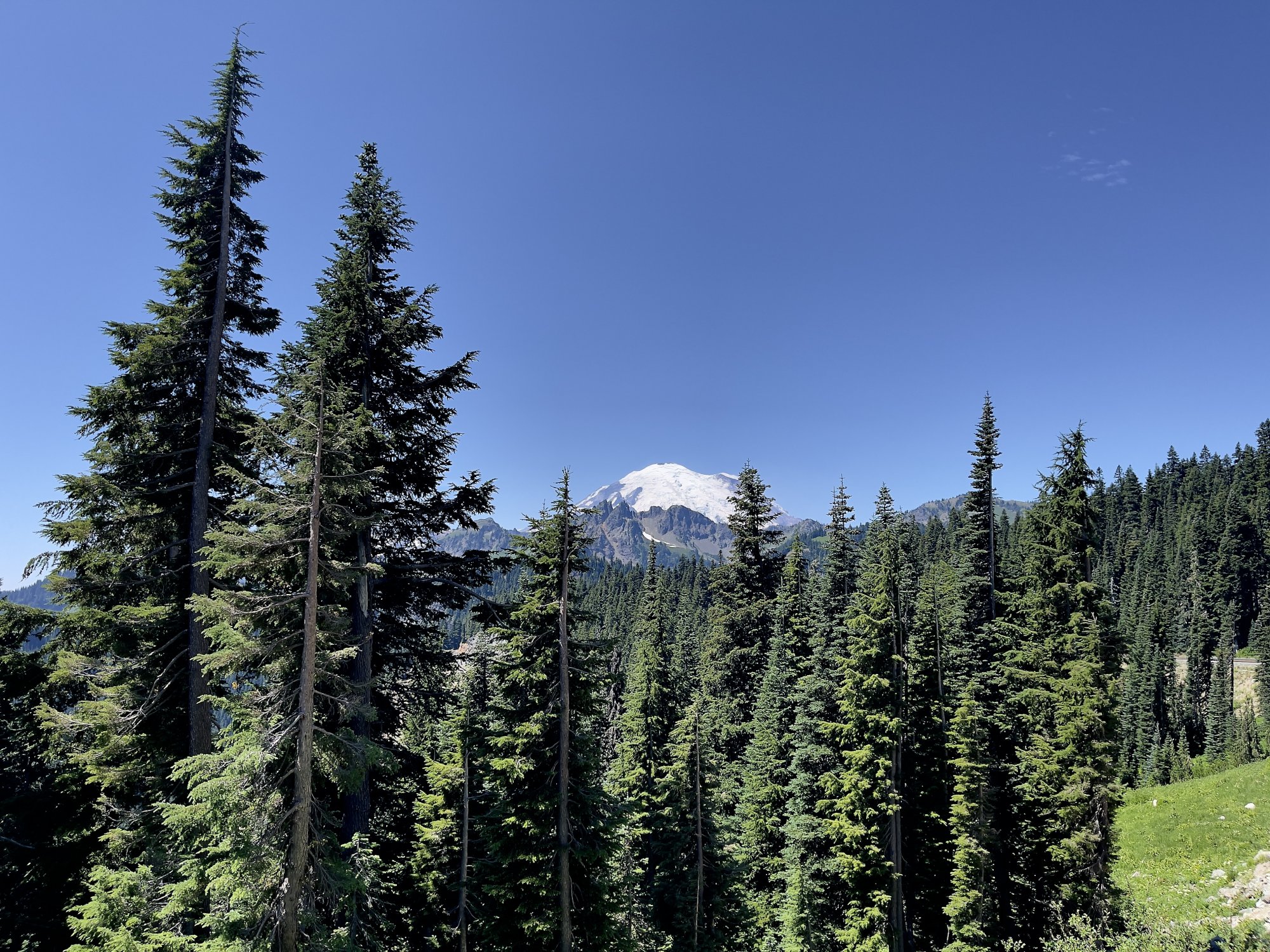 IMG_7354.jpeg