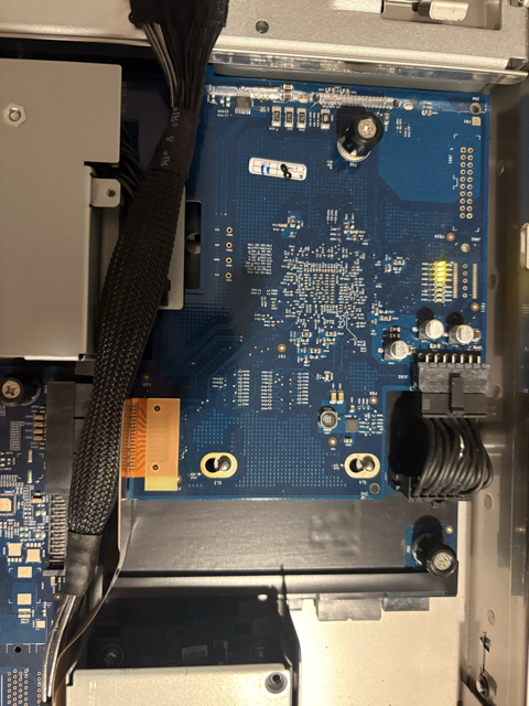 IMG_7364 Medium (1).png