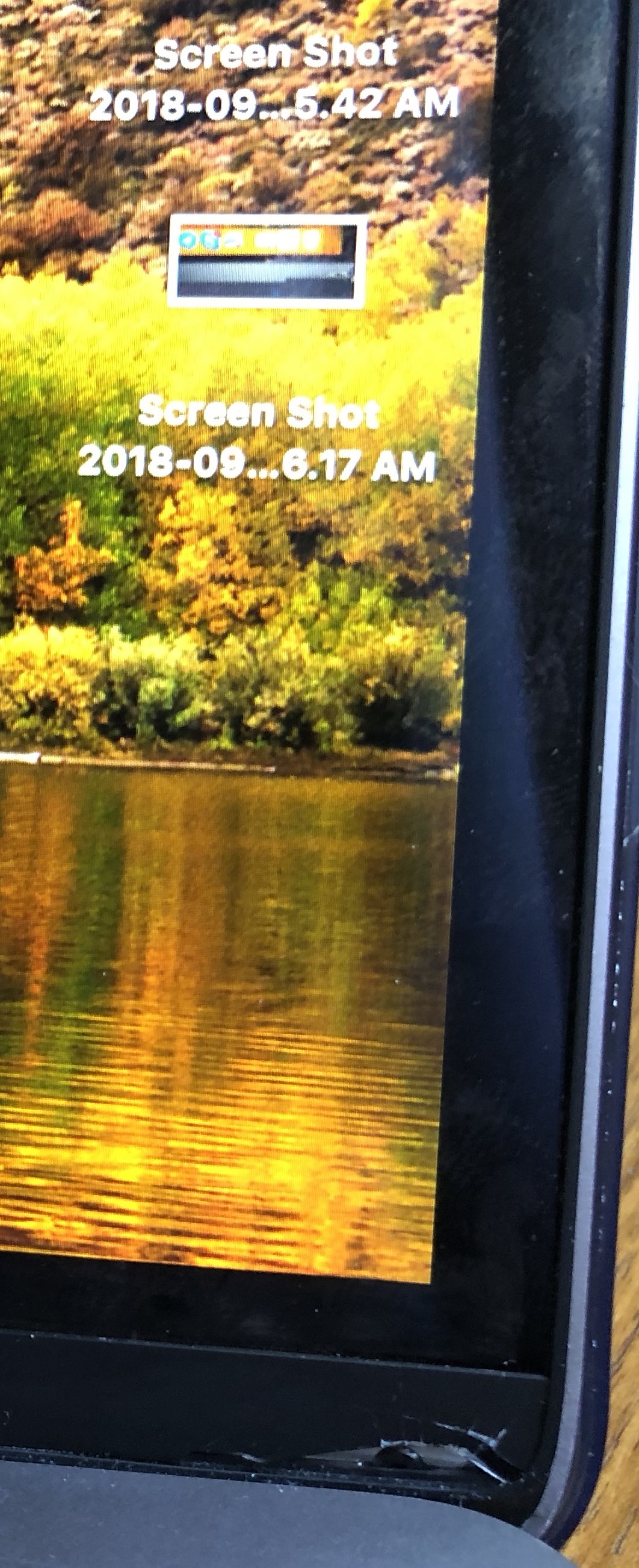 IMG_7375.JPG IMG_7375.JPG
