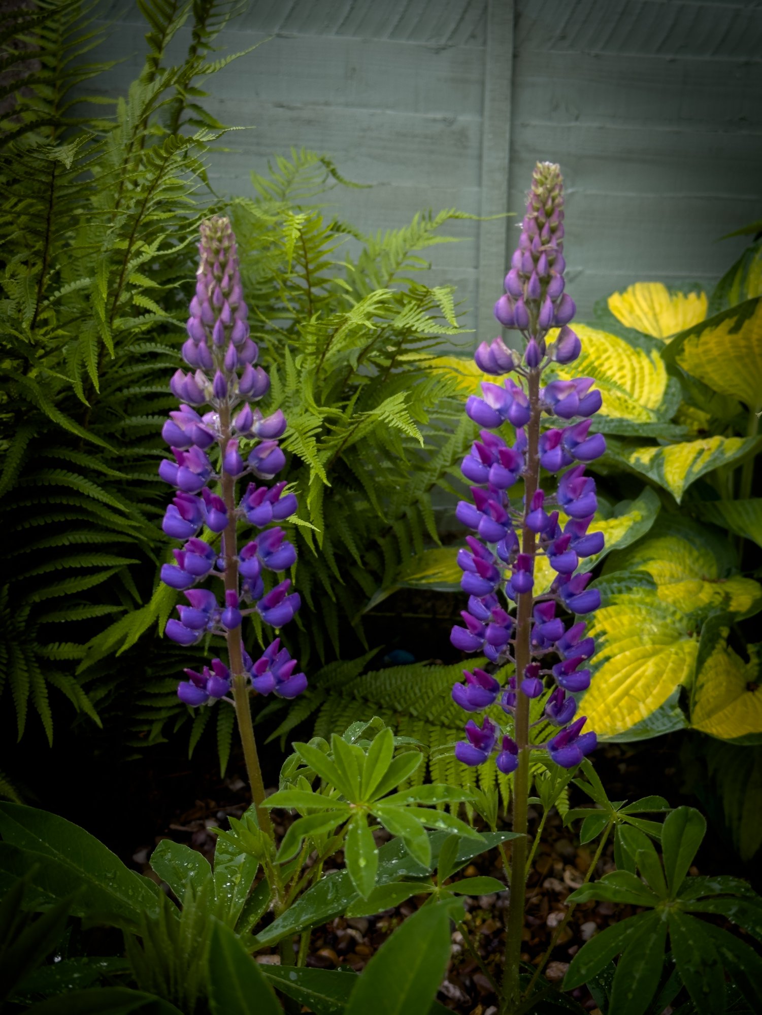 IMG_7504-HDR.jpg