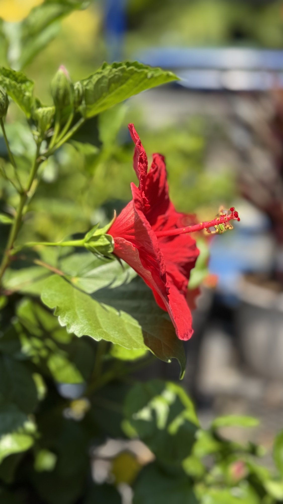 IMG_7993.jpeg