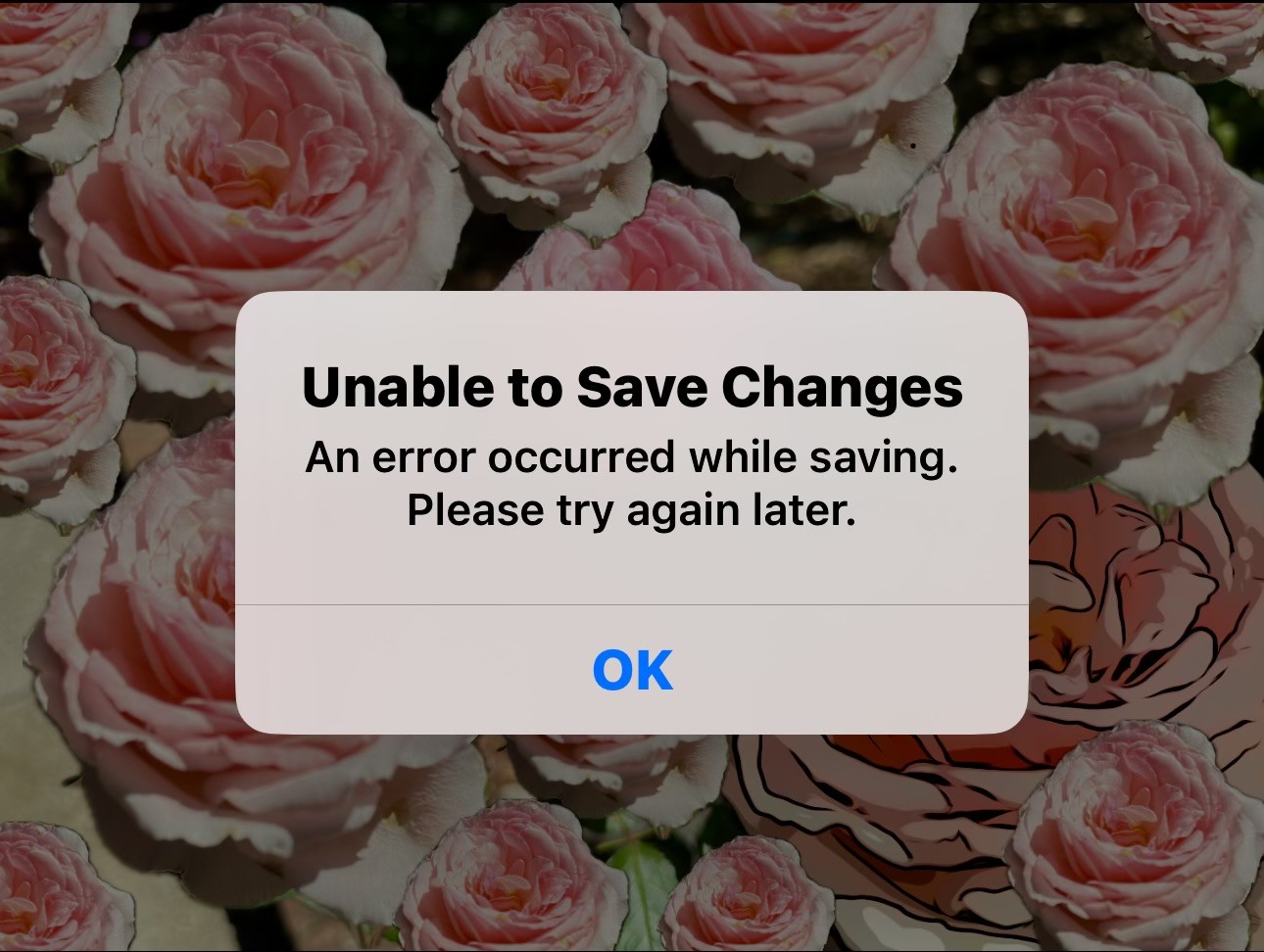 IMG_8105 error.jpg