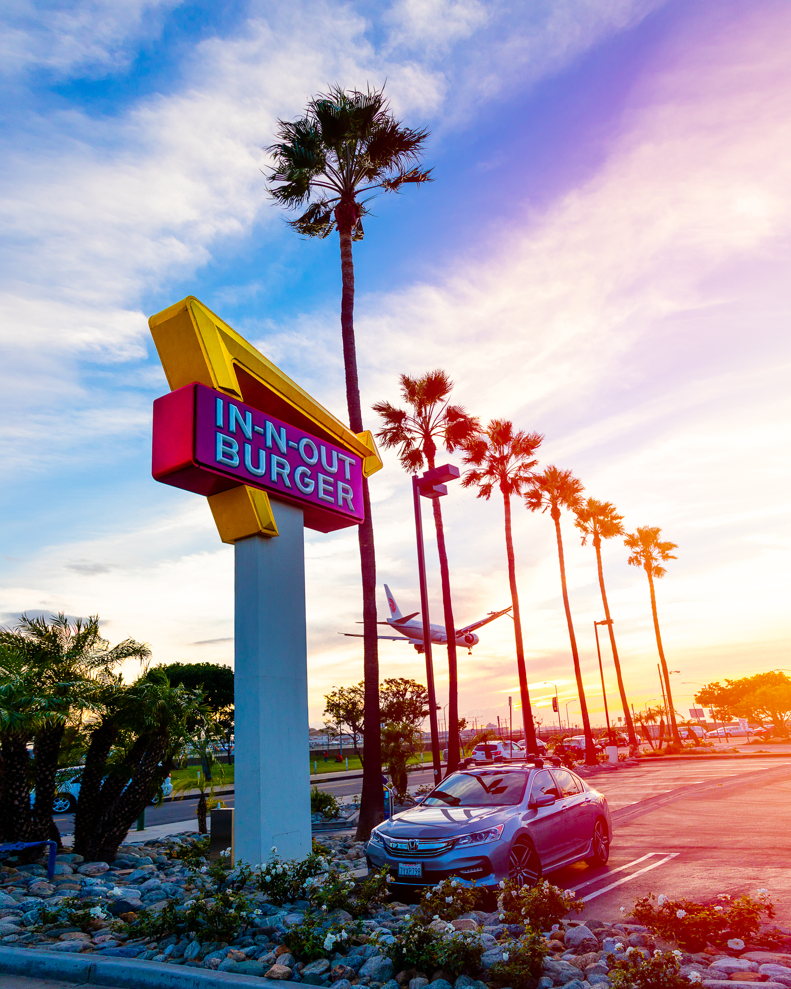 In N out-1.jpg