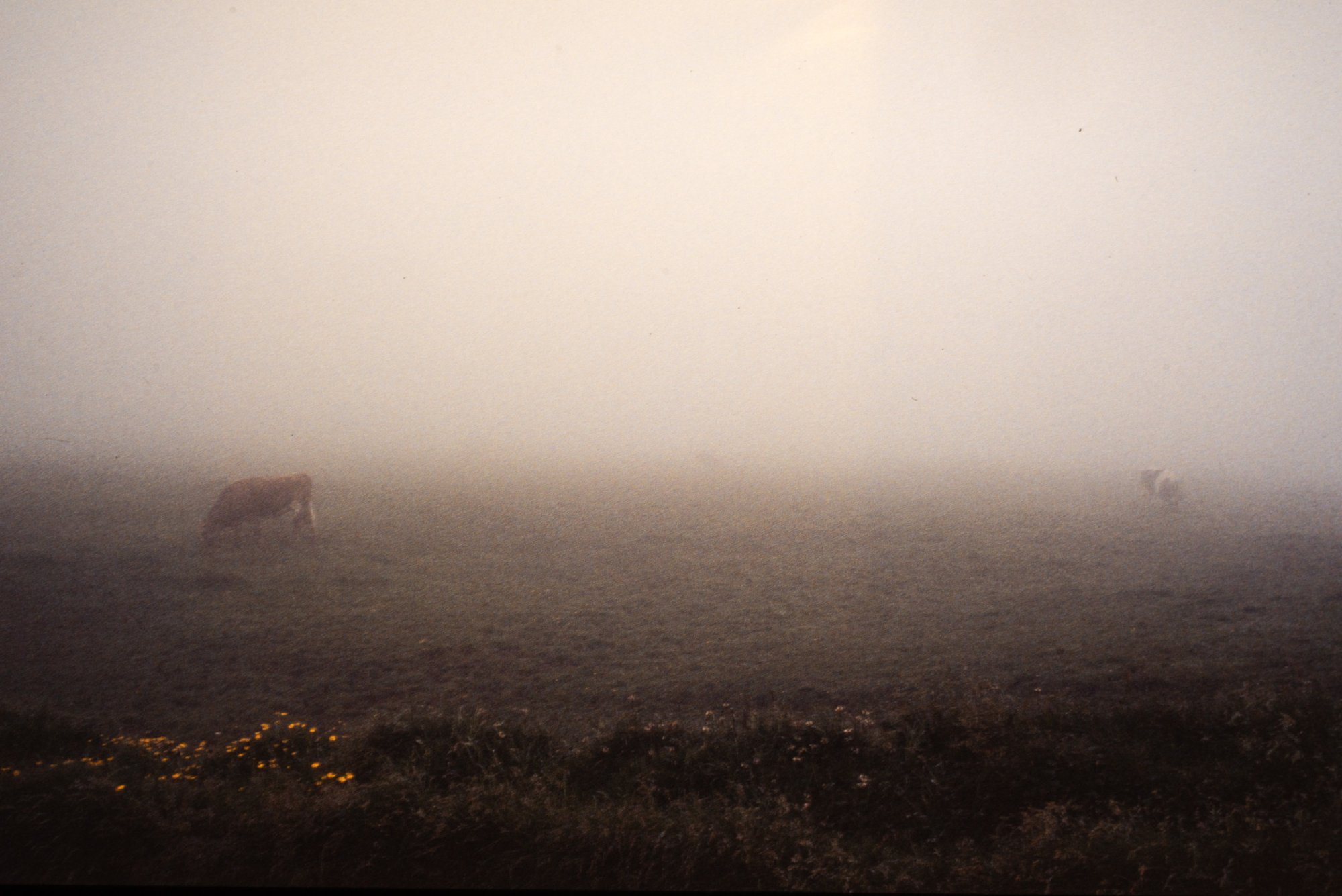 Ireland 1986 - 2500px-5.JPG