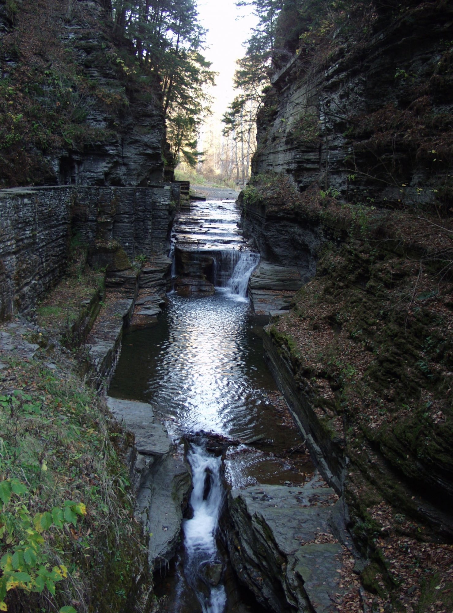 Ithaca glen.jpg