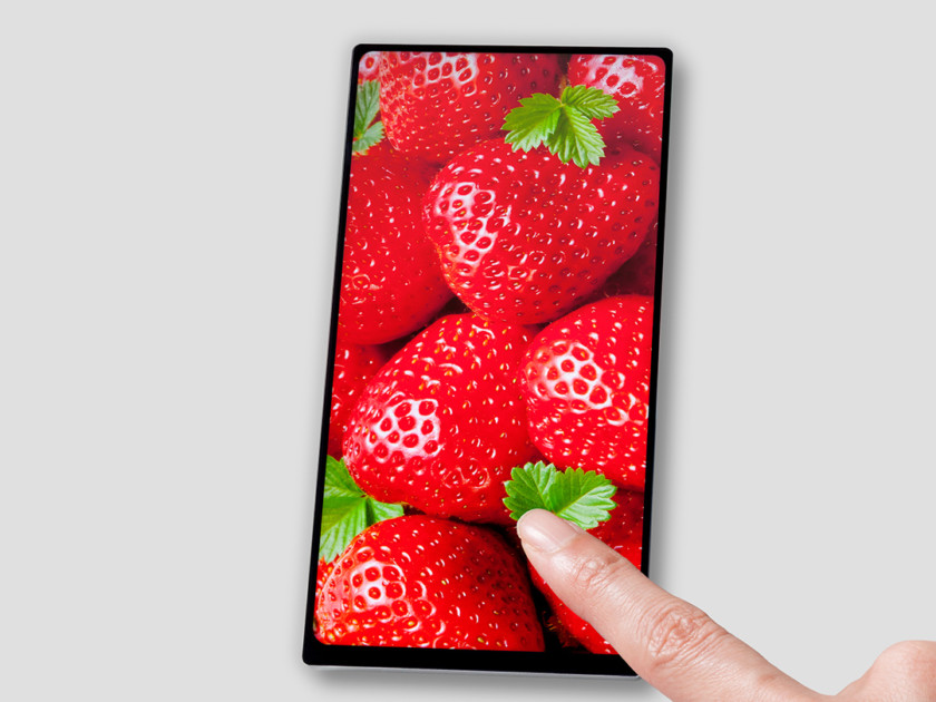 JDI-bezelless-display-840x630.jpg