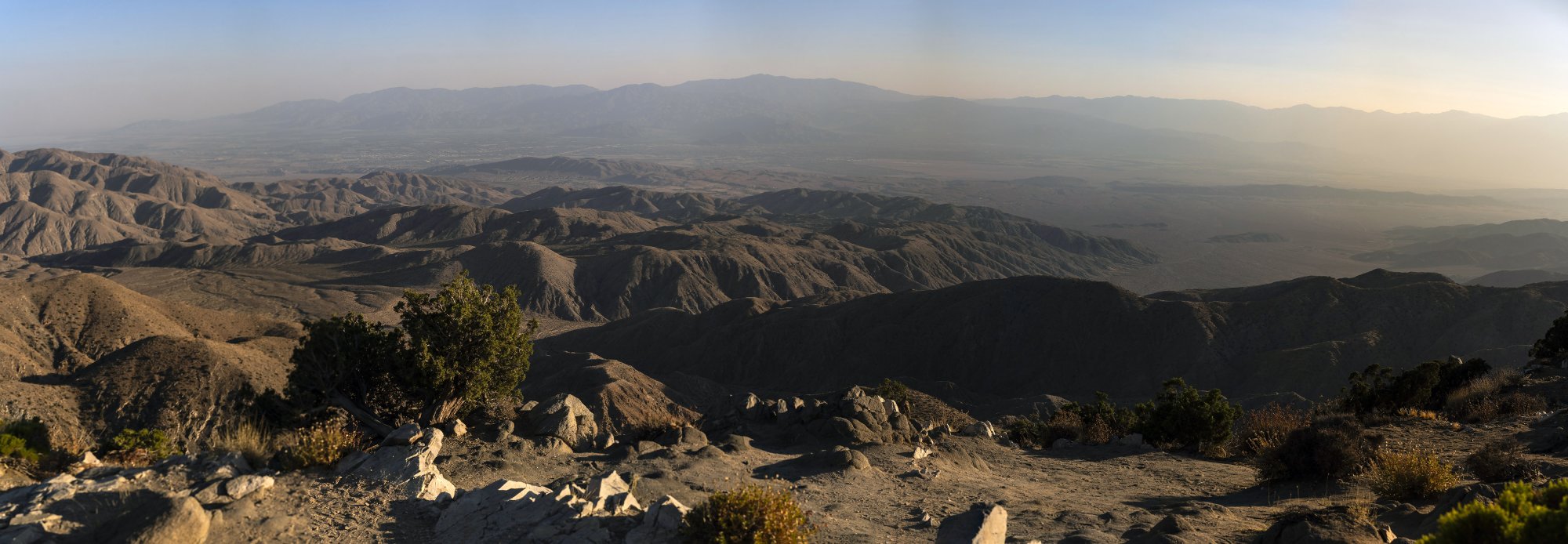 Joshua Tree -Coachella Vallley 1 - 5000px.jpg