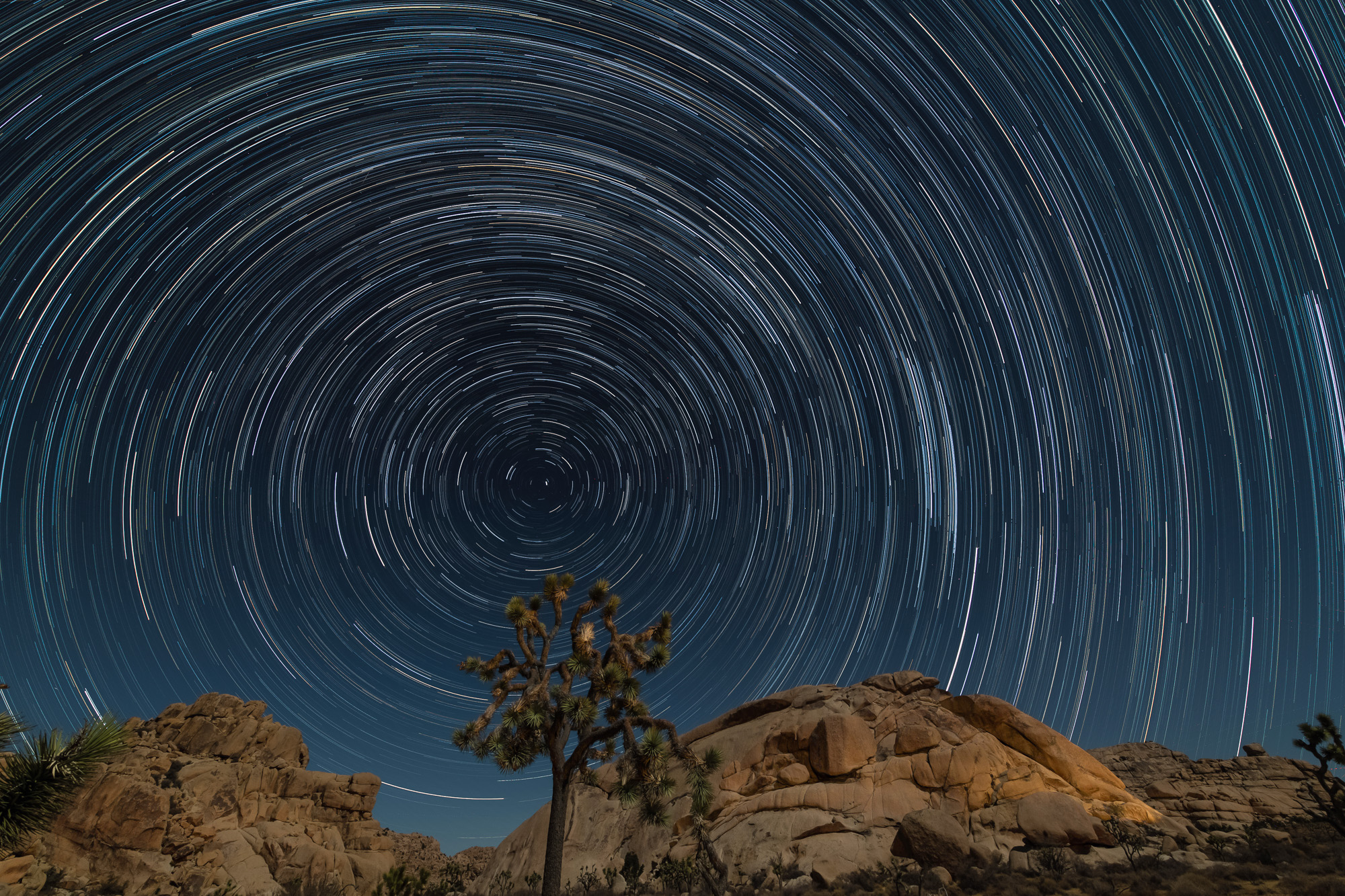 joshua_tree_np-10 - star_trail.jpg