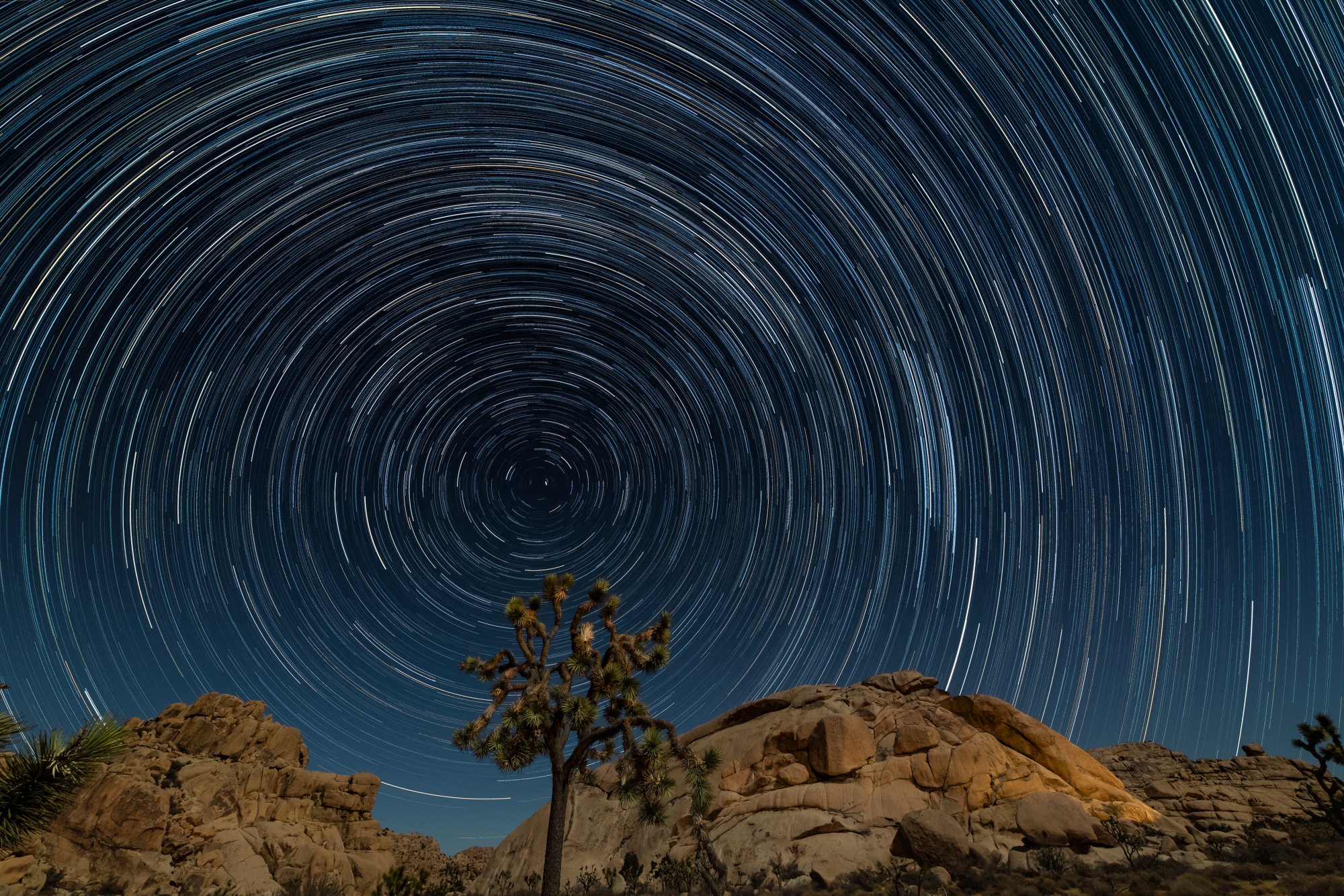 joshua_tree_star_trails.jpg