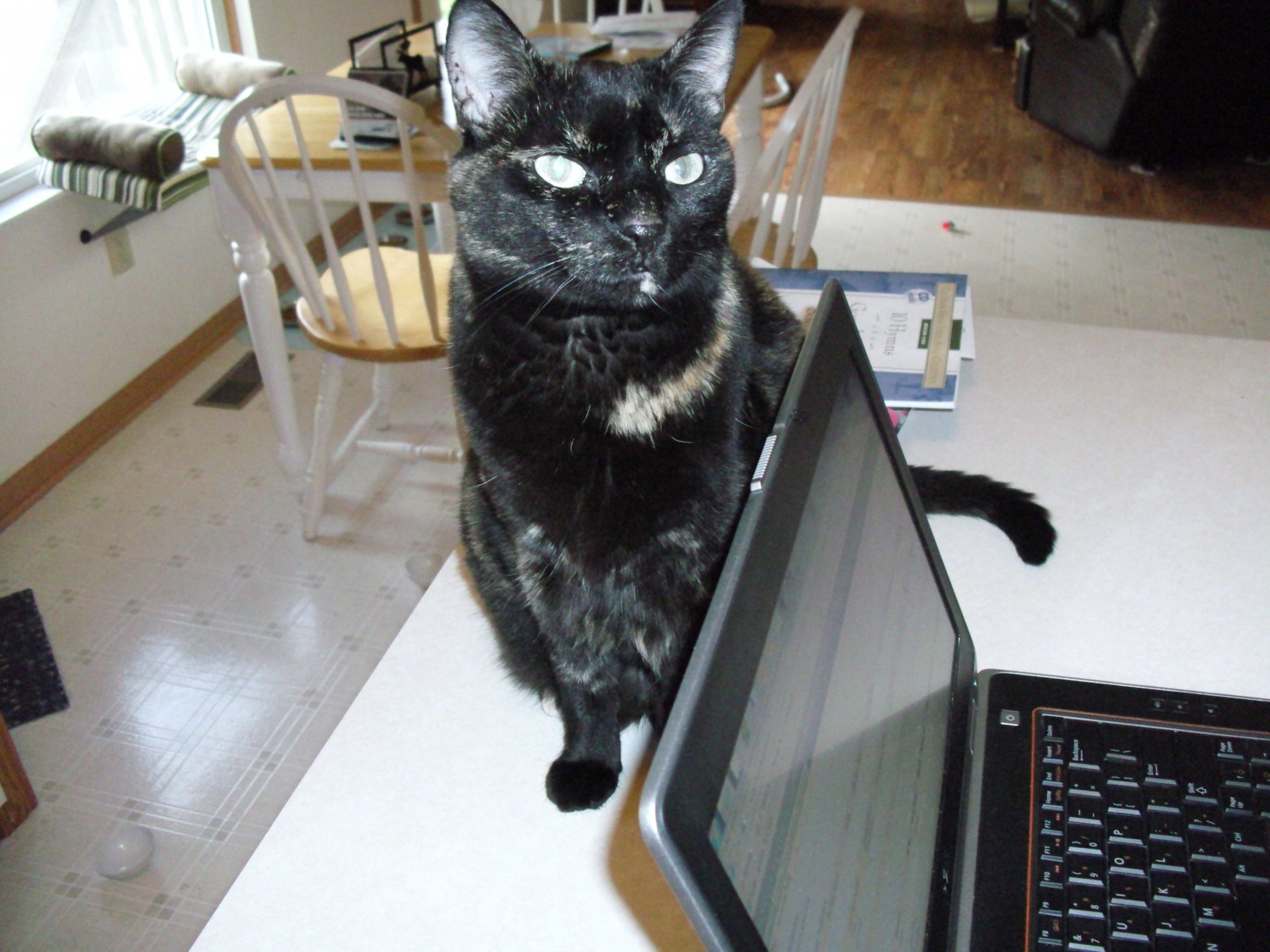 Kachiko behind laptop.jpg