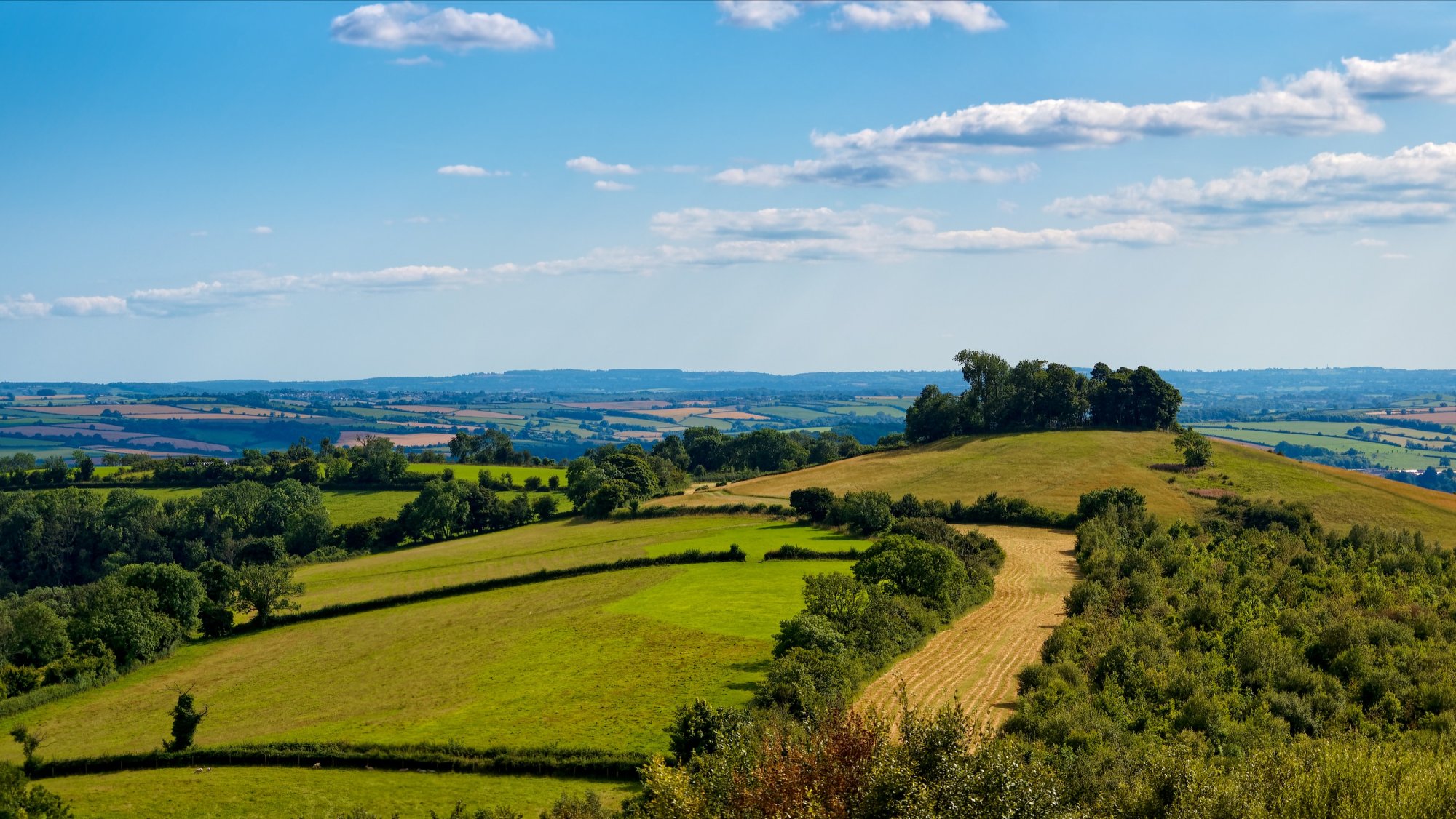 Kelston Round Hill.jpeg