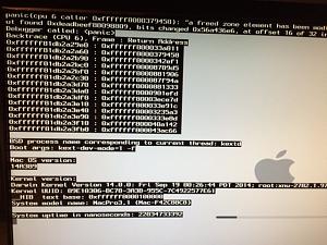 kernel panic 2.jpg