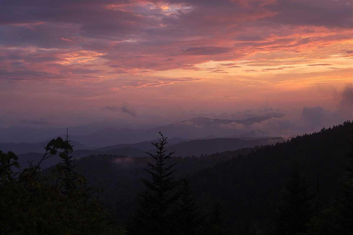 Kuwahi_clingmansdome201806132000_LR.jpg