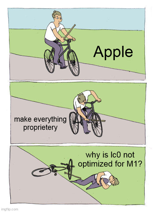 l6O5siZ.jpg