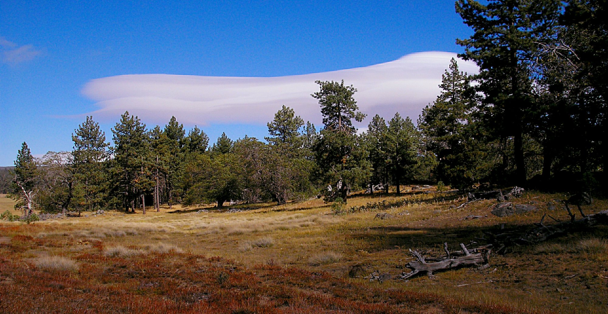 Laguna clouds 4cropxxx (1).jpg