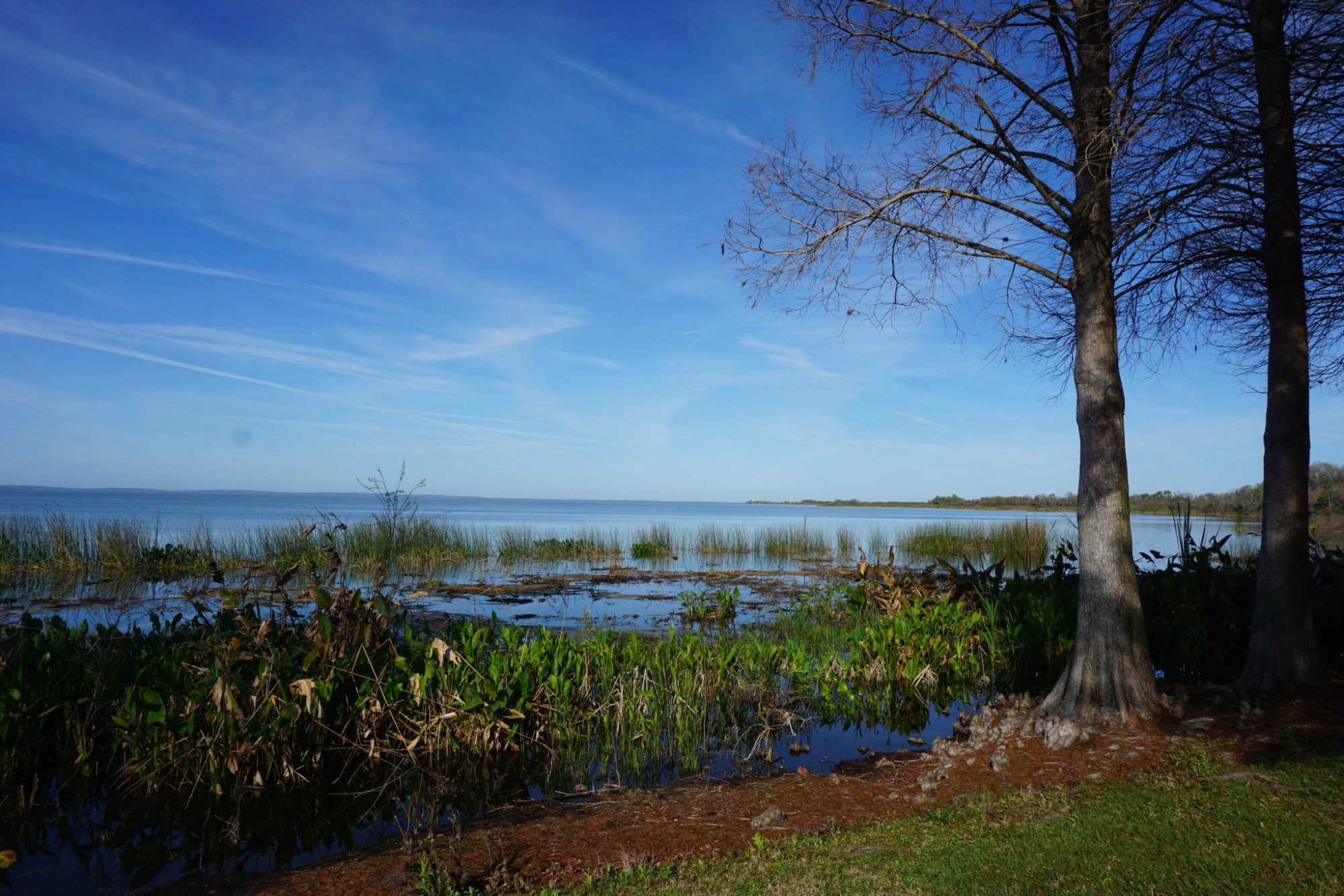 Lake Apopka.jpg